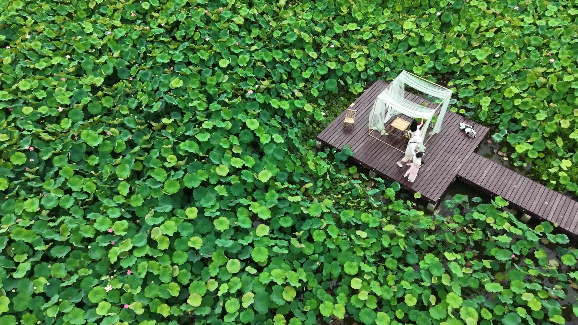 Xixi Wetland in Hangzhou - 06/29/2026