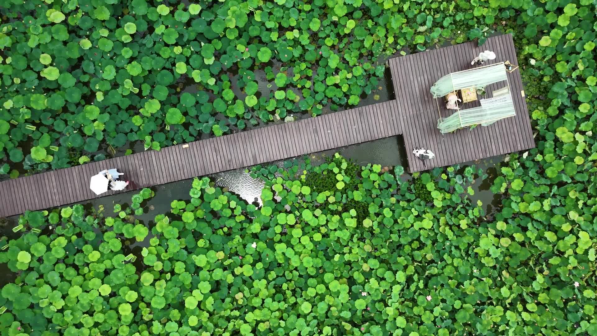 Xixi Wetland in Hangzhou - 06/29/2026