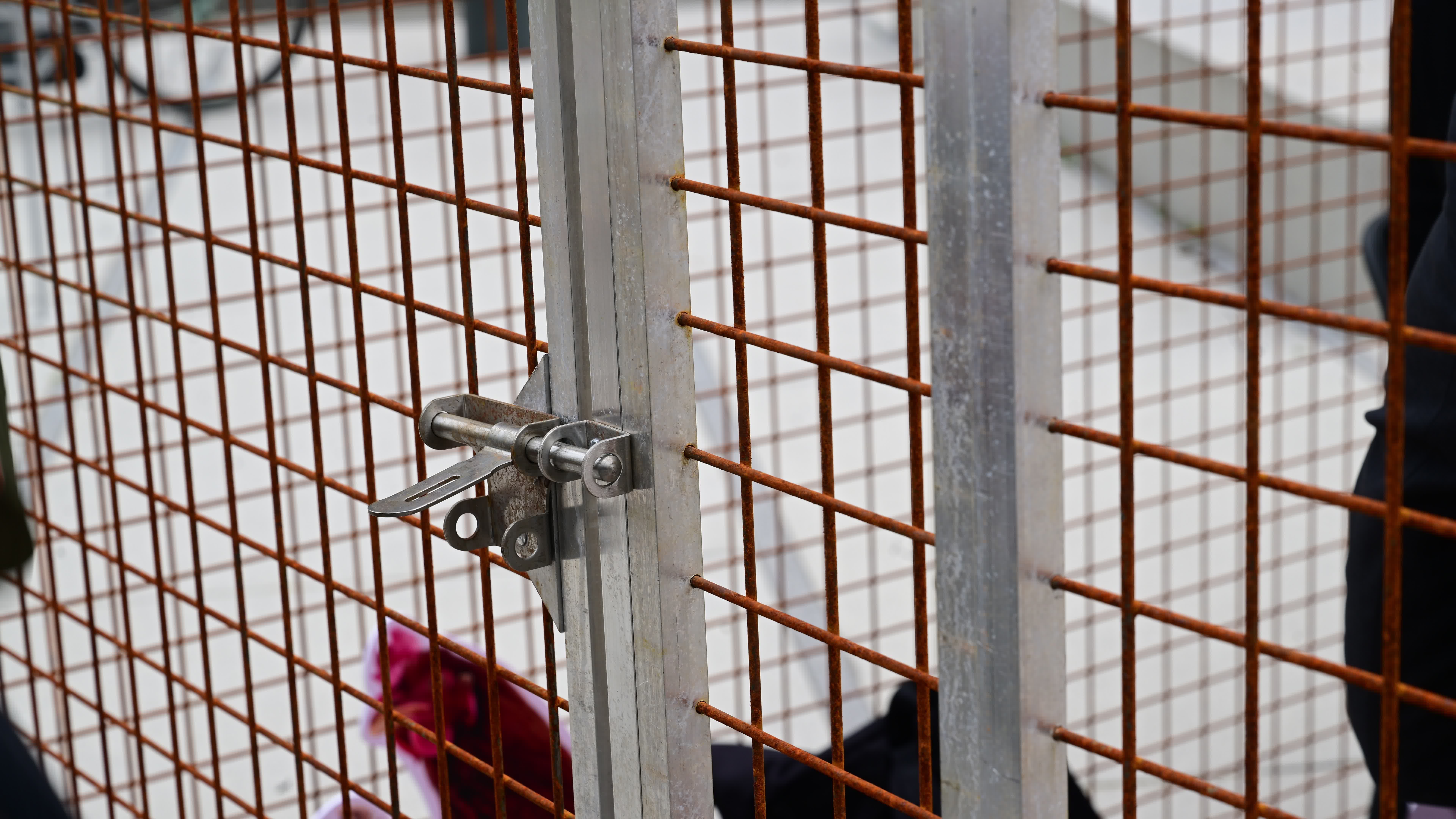 Protest against cage farming