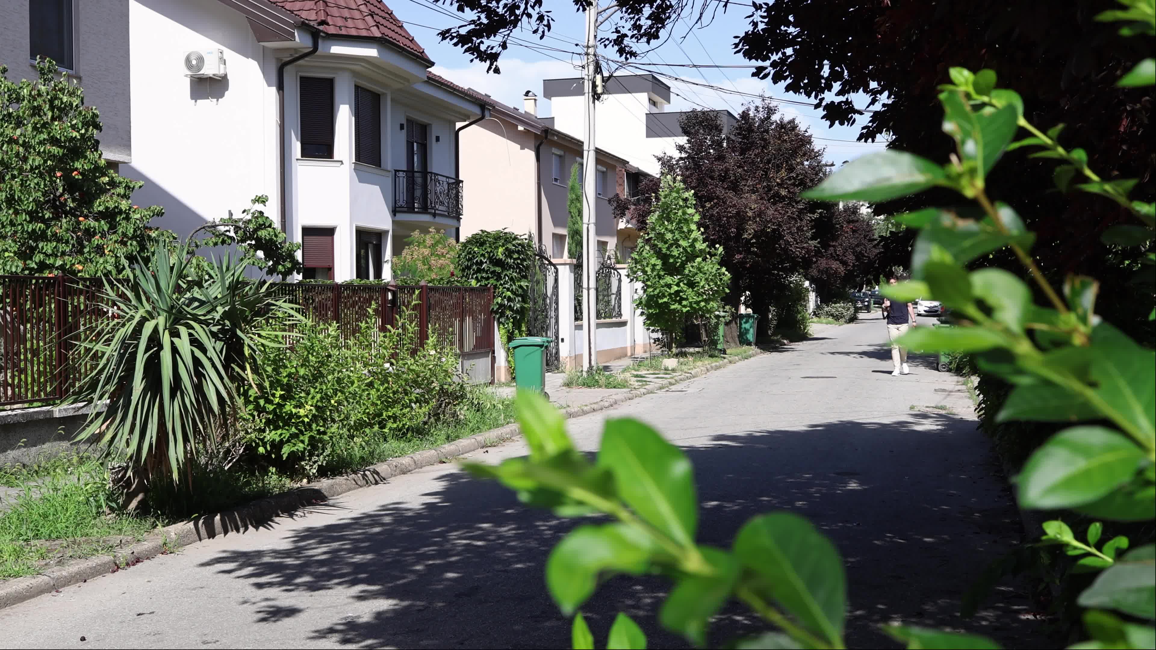 Olga Petrov Street in Novi Sad