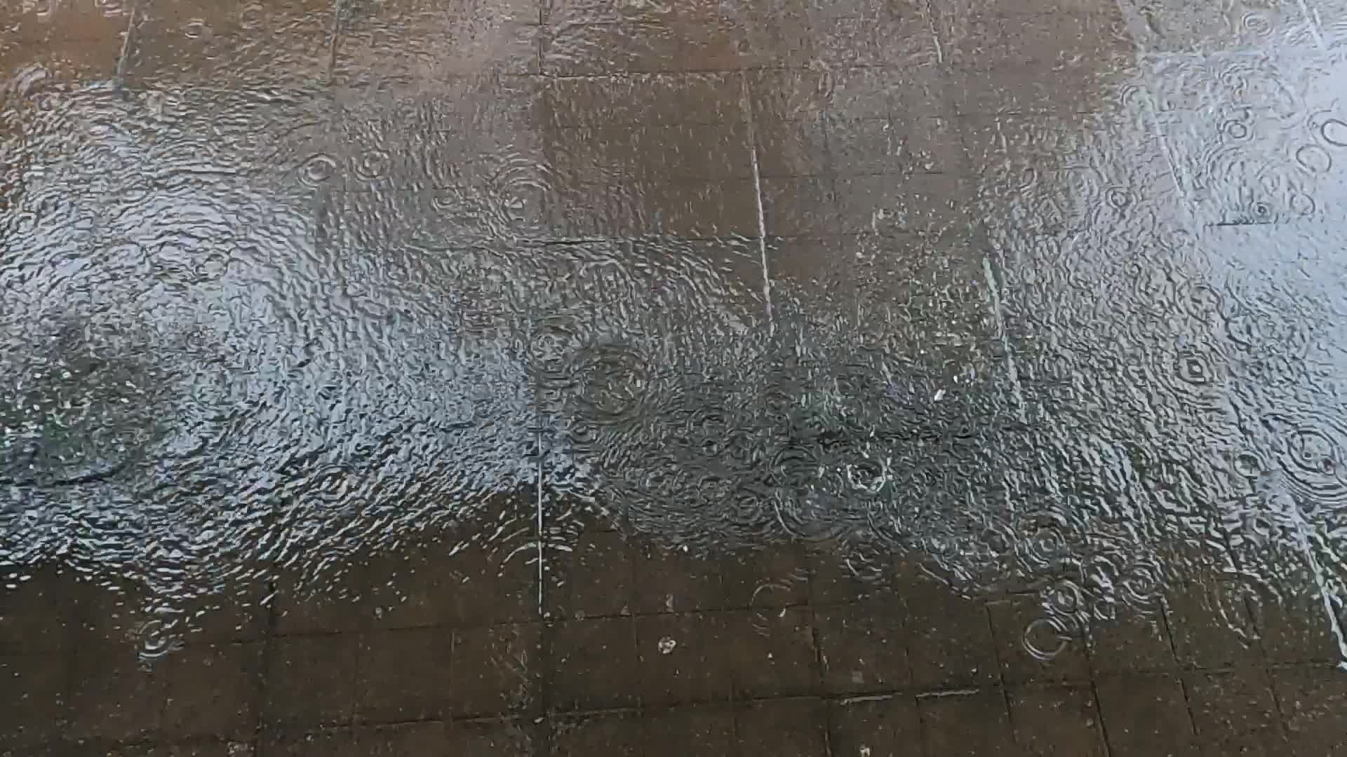 Rainfall Lashes The Financial Capital Mumbai