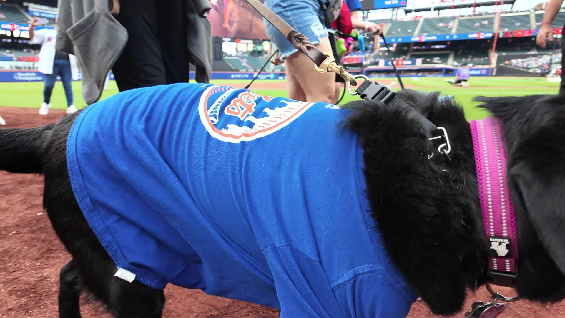 MLB: Chicago Cubs vs. New York Mets