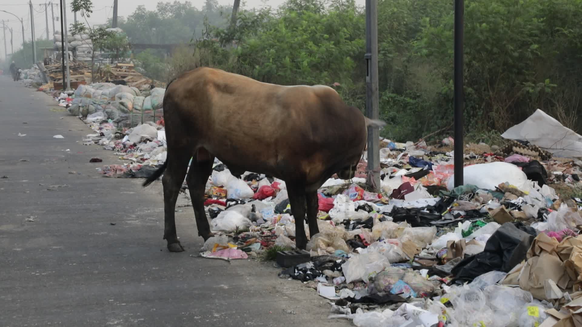 fire of big landfill in Indonesia