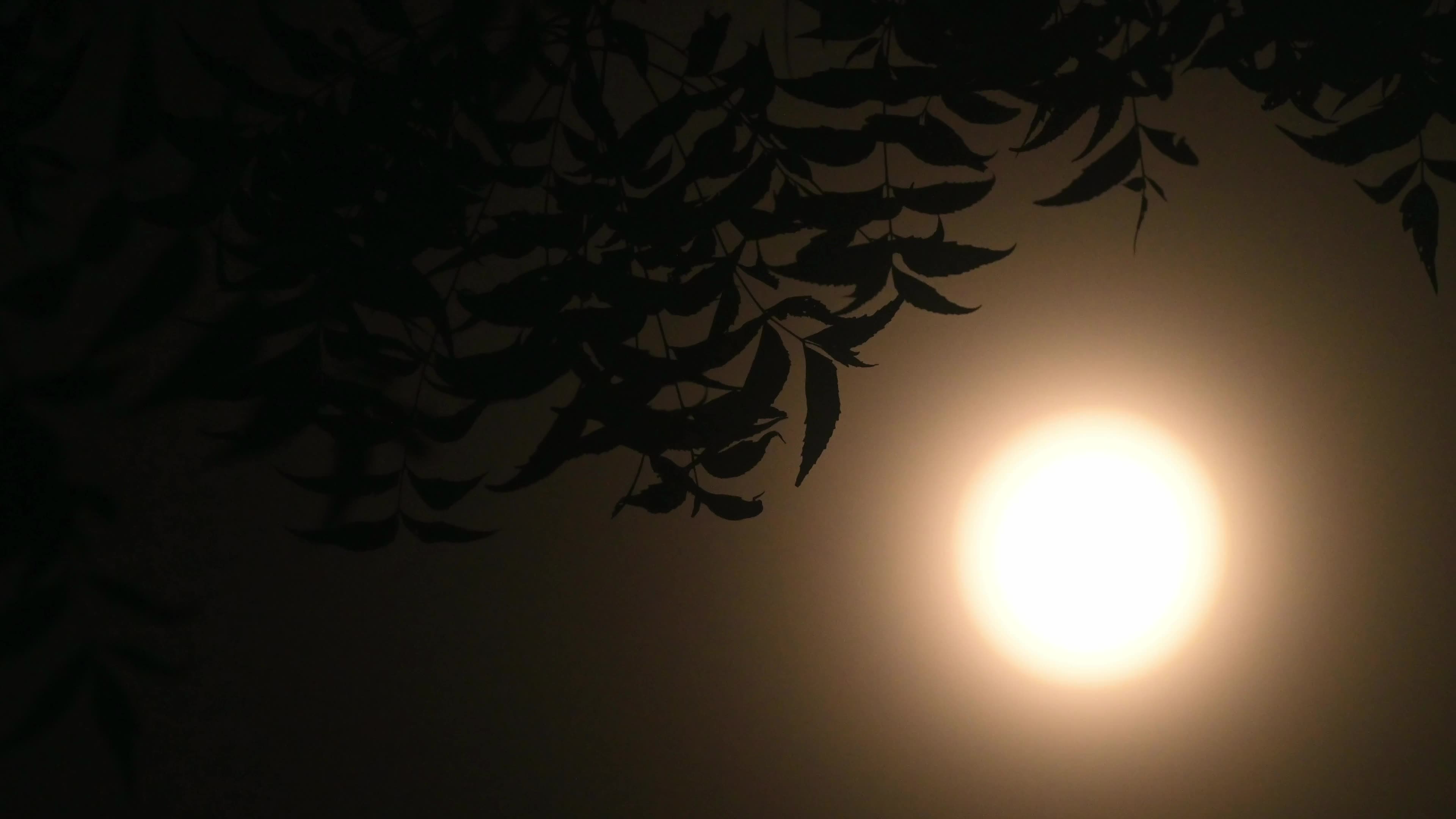 June Full Moon - Full Strawberry Moon