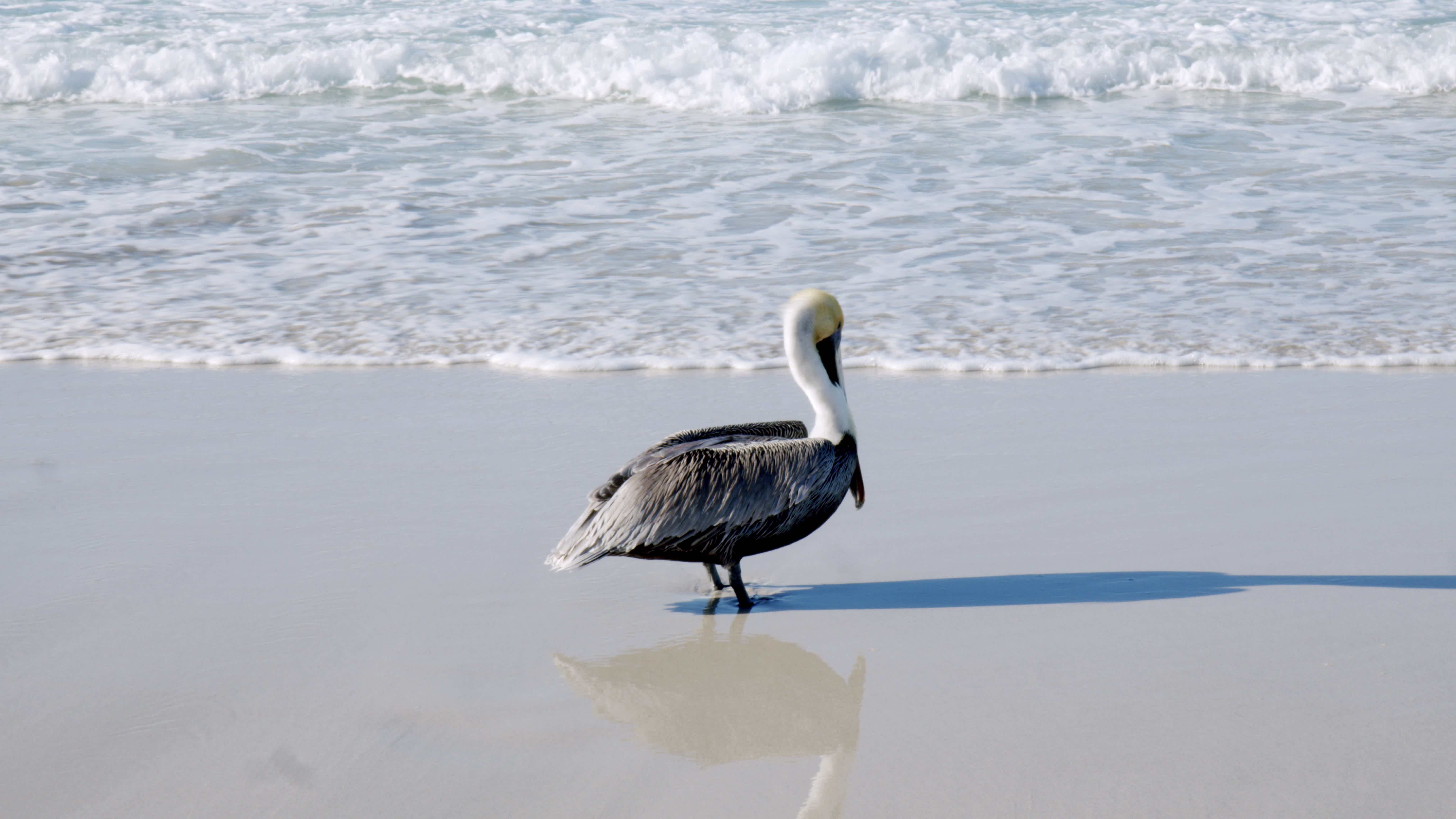 Daily Life In Varadero
