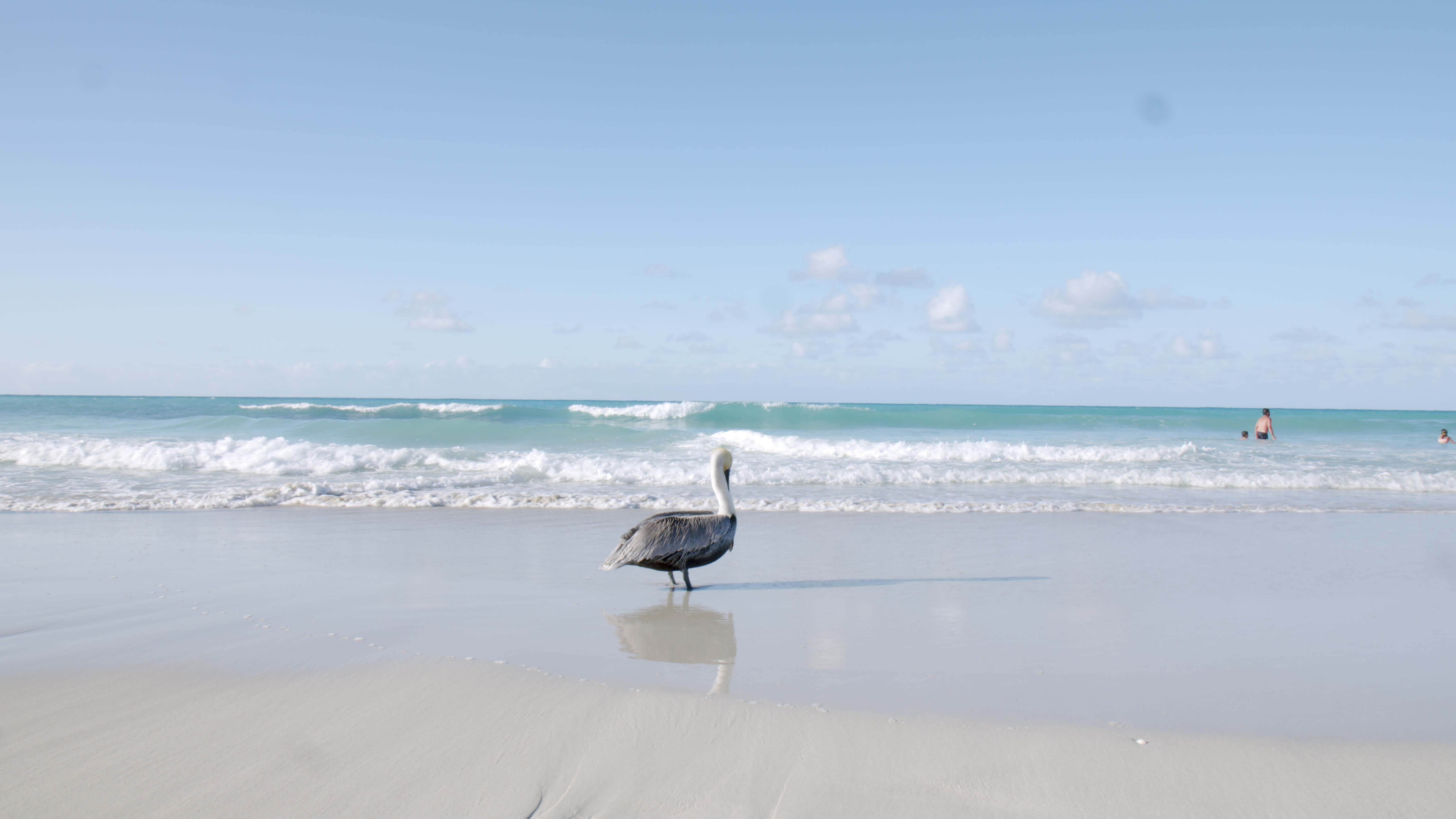 Daily Life In Varadero