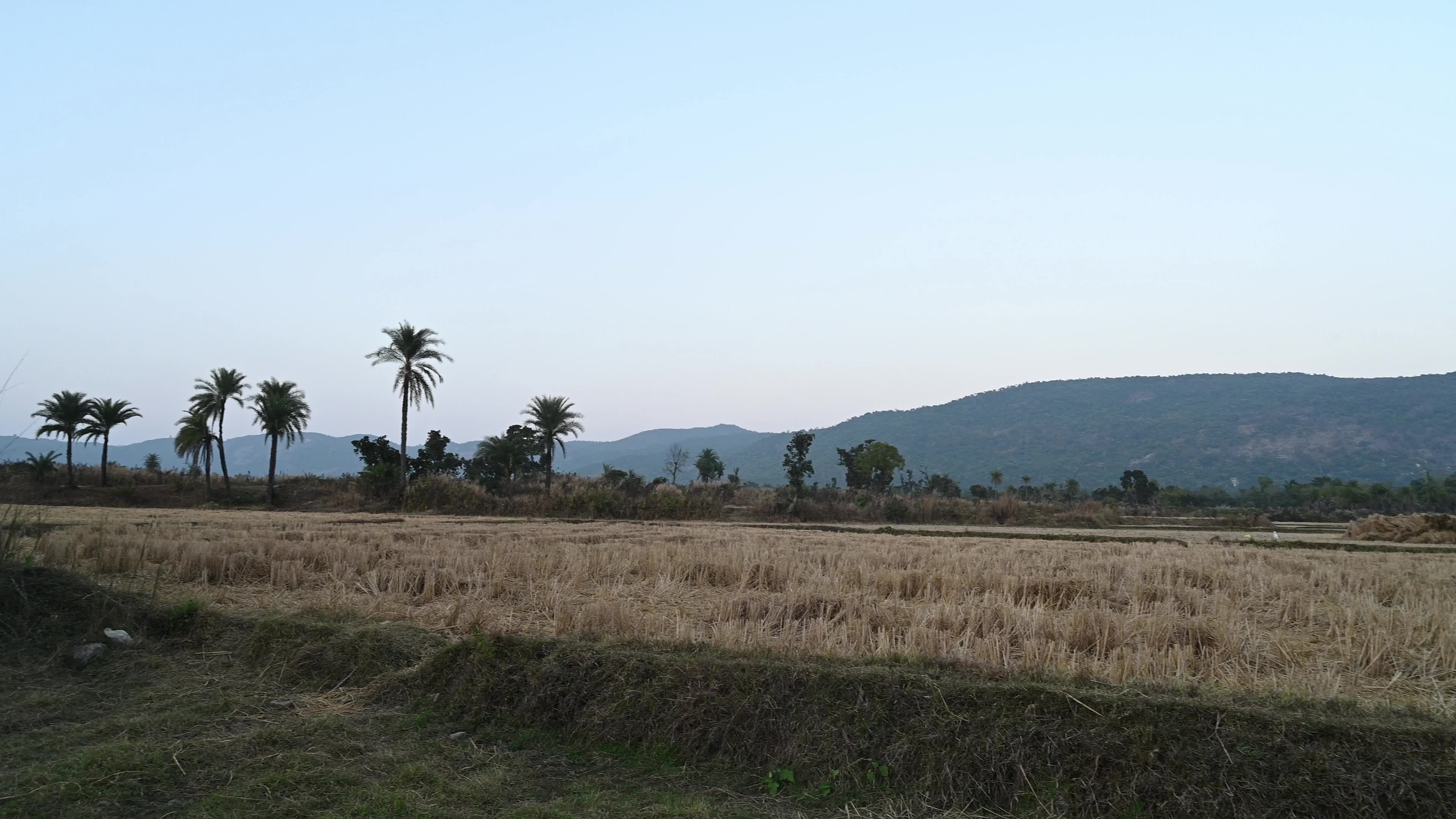 Purulia’s Landscape - Agriculture - Soil & Climate - Water