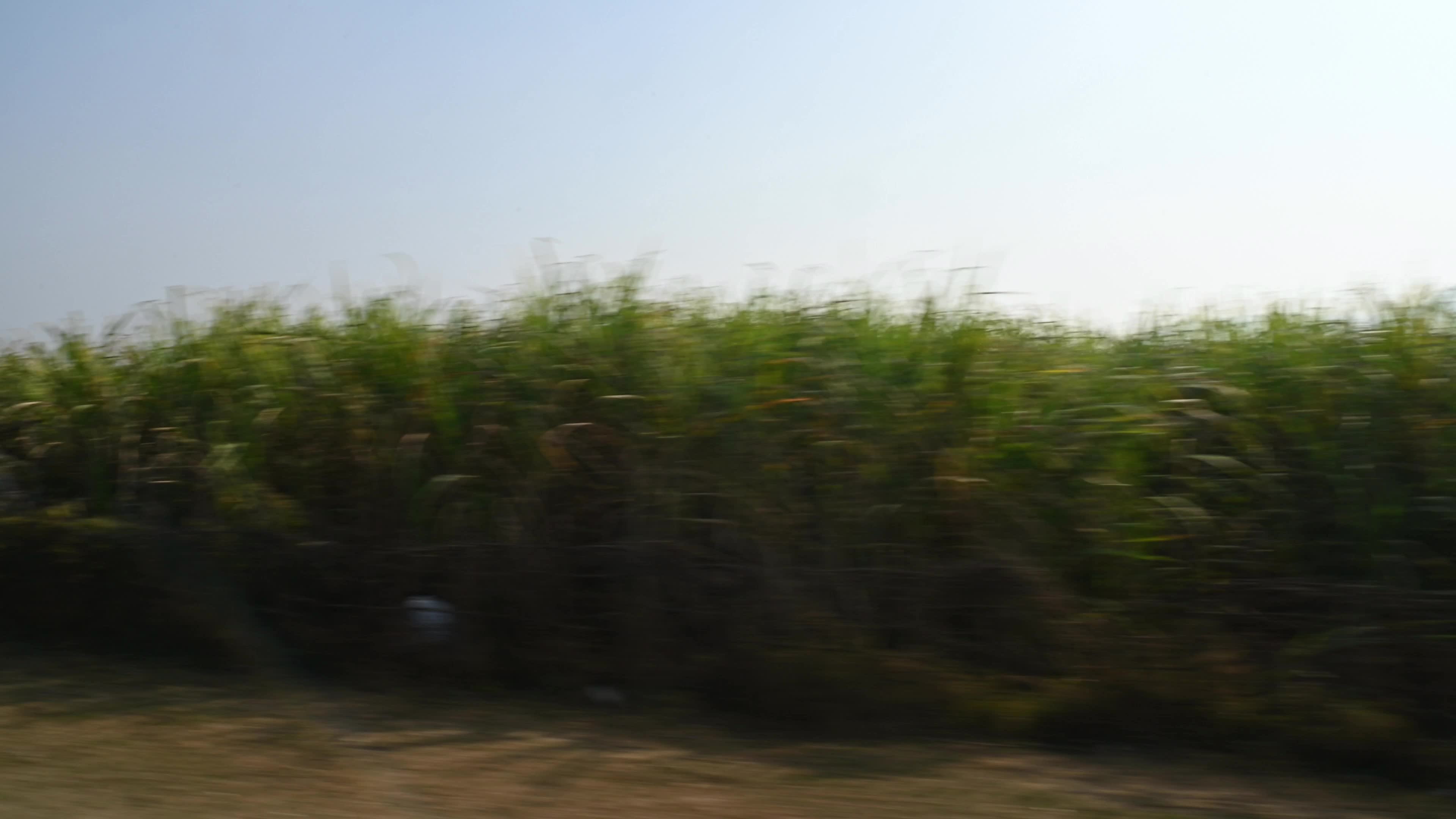 Purulia’s Landscape - Agriculture - Soil & Climate - Water