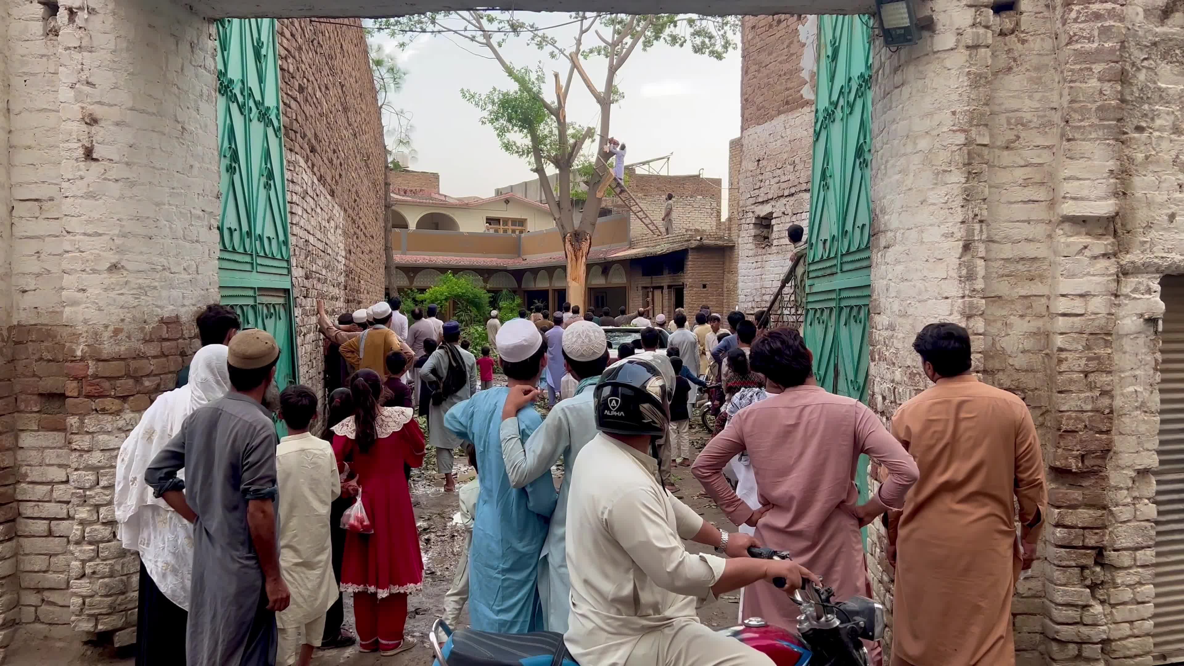 Pakistan: Strong Winds and Heavy Rain Uproot Trees, Damage Vehicles in Peshawar