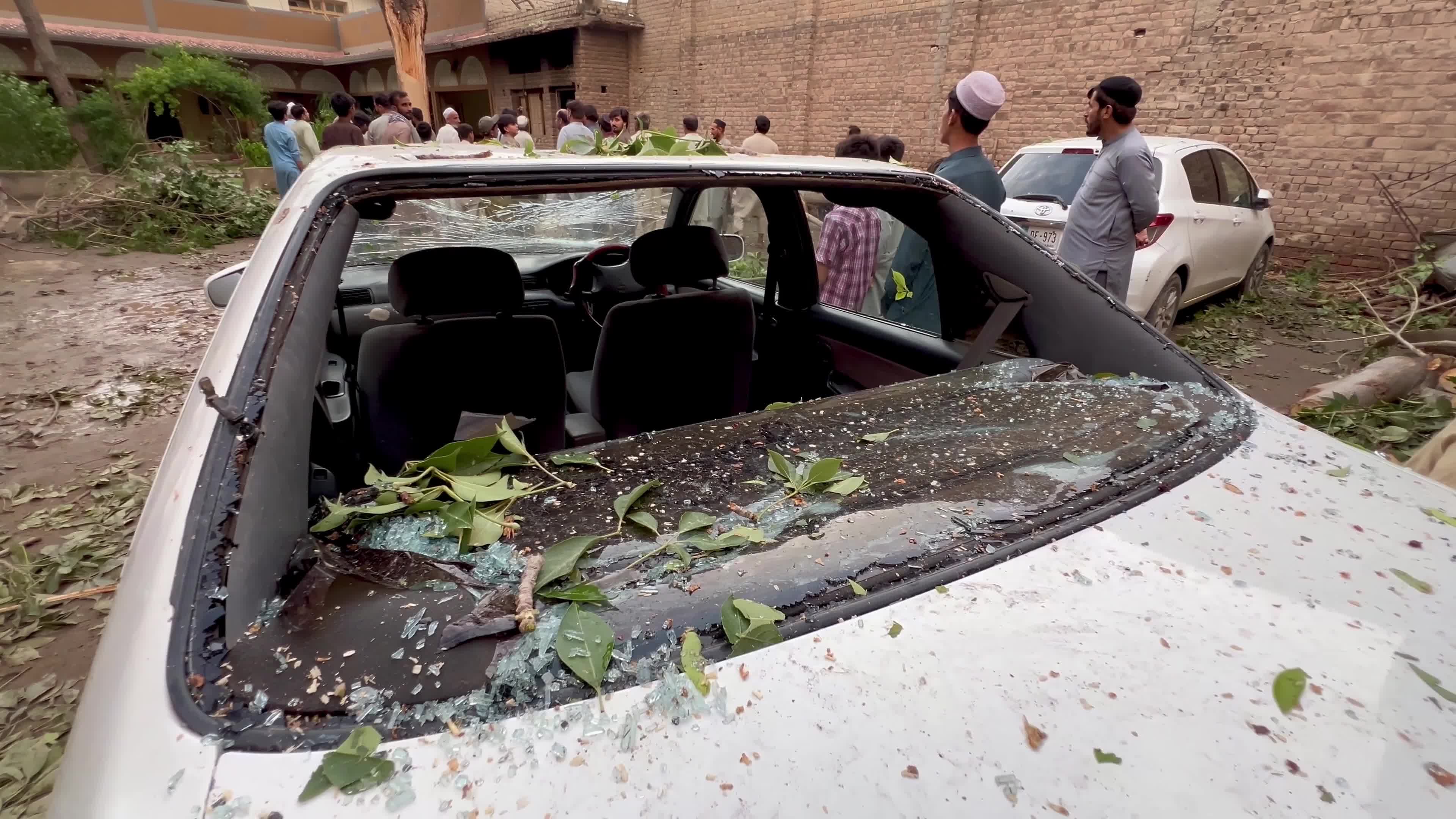 Pakistan: Strong Winds and Heavy Rain Uproot Trees, Damage Vehicles in Peshawar