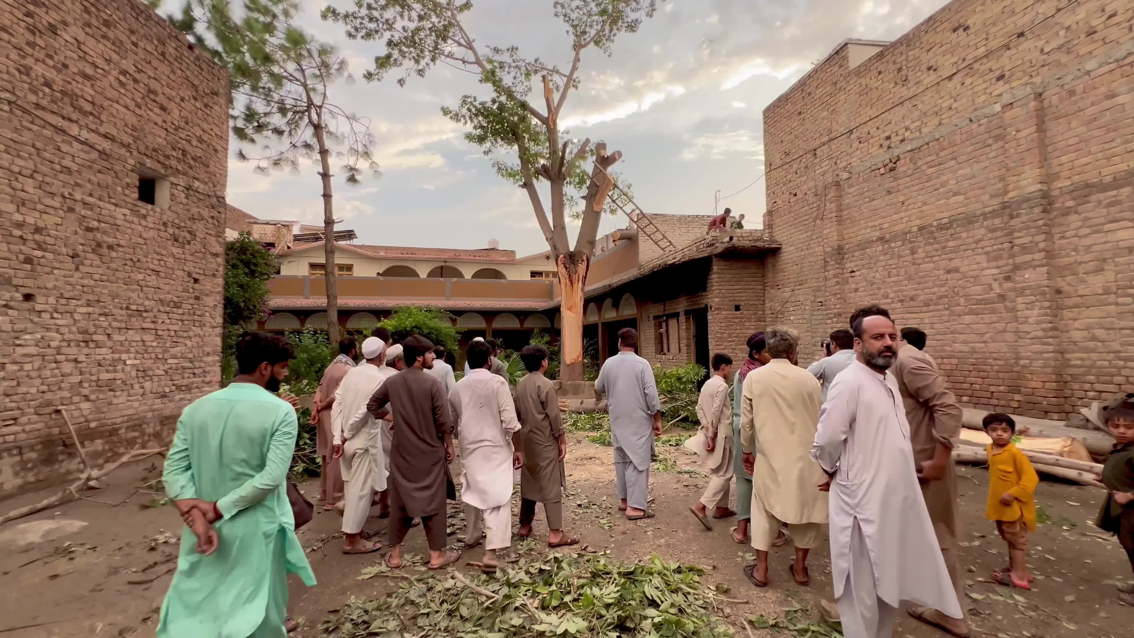 Pakistan: Strong Winds and Heavy Rain Uproot Trees, Damage Vehicles in Peshawar