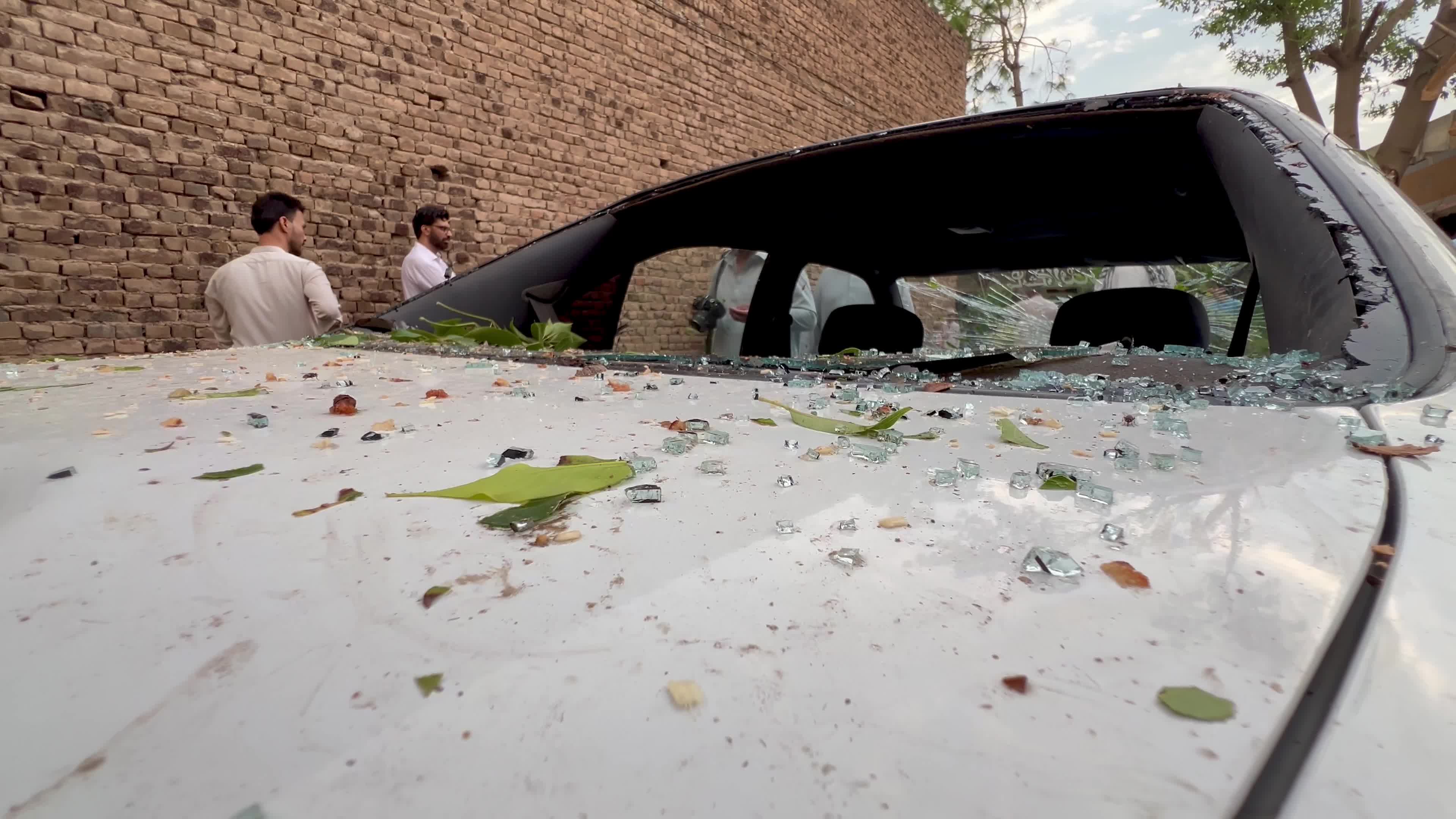Pakistan: Strong Winds and Heavy Rain Uproot Trees, Damage Vehicles in Peshawar