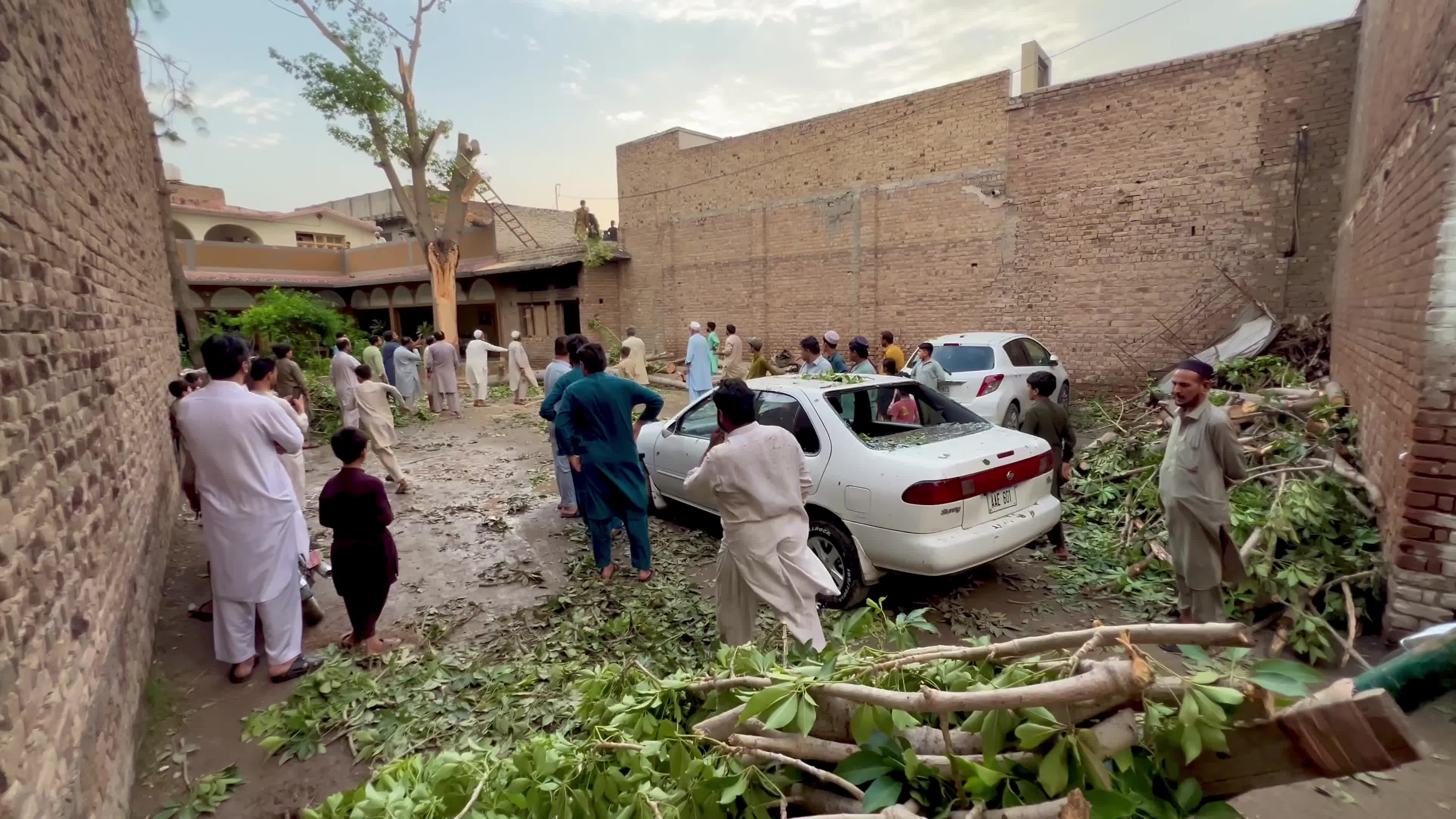Pakistan: Strong Winds and Heavy Rain Uproot Trees, Damage Vehicles in Peshawar