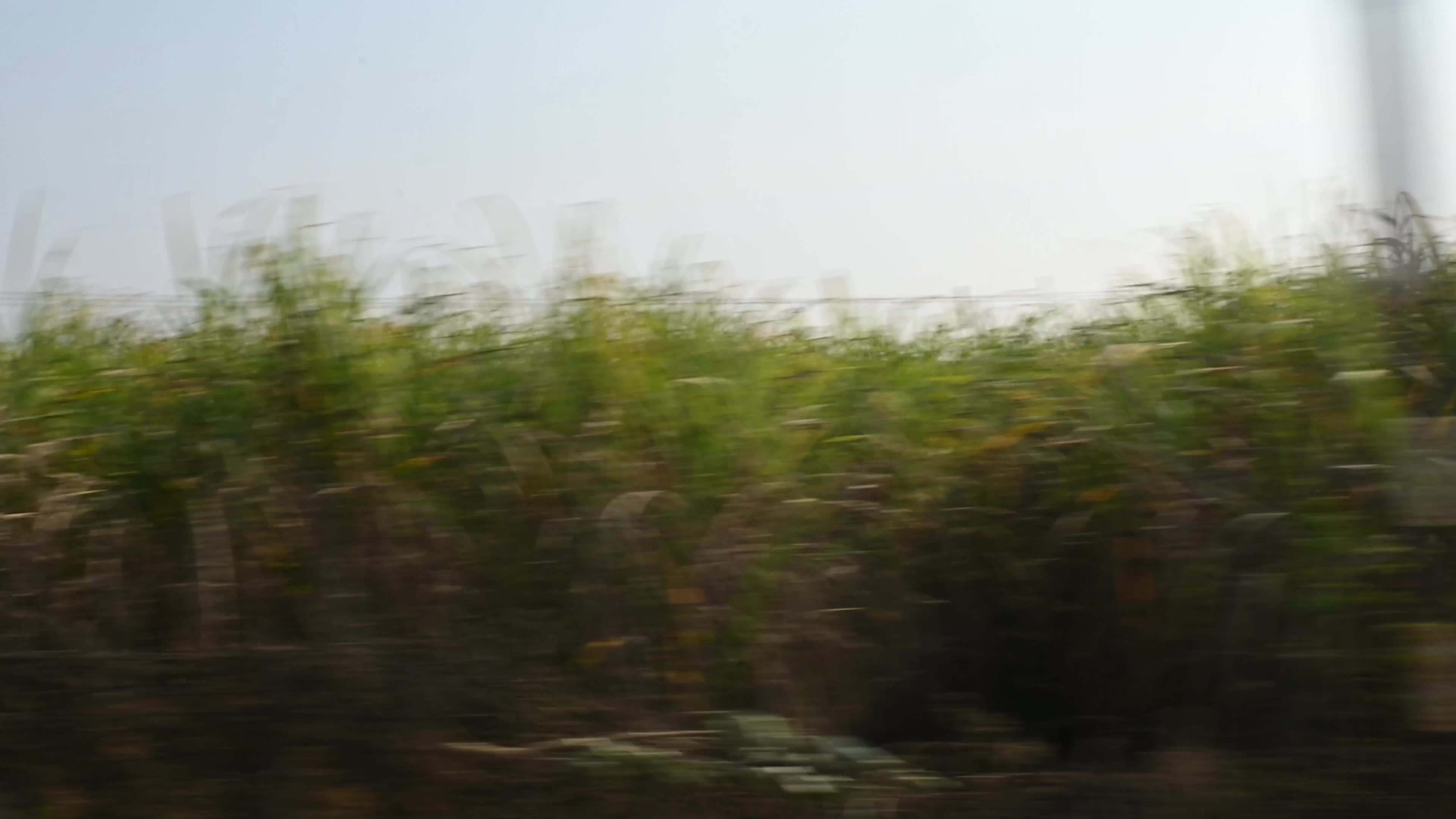 Purulia’s Landscape - Agriculture - Soil & Climate - Water
