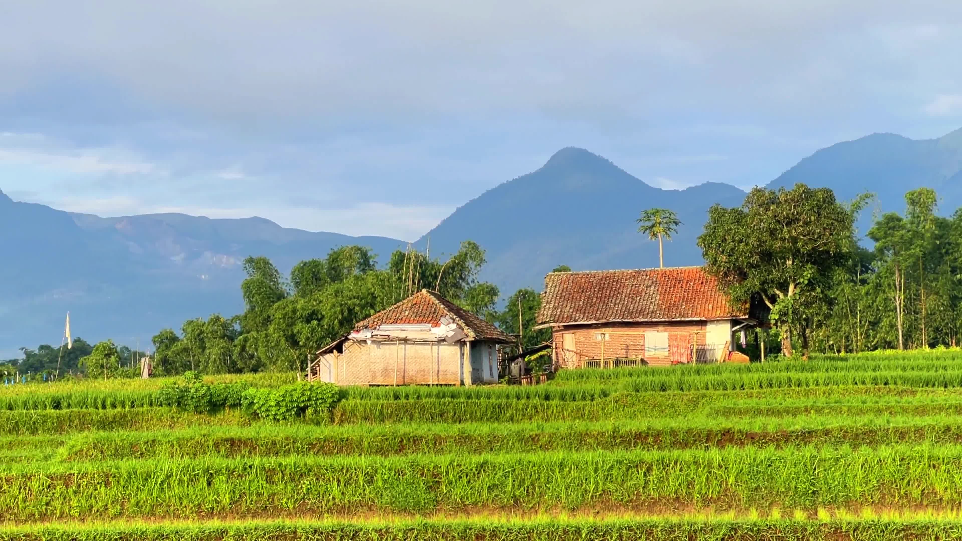 Beautiful Villages In The Morning In Garut West Java Indonesia