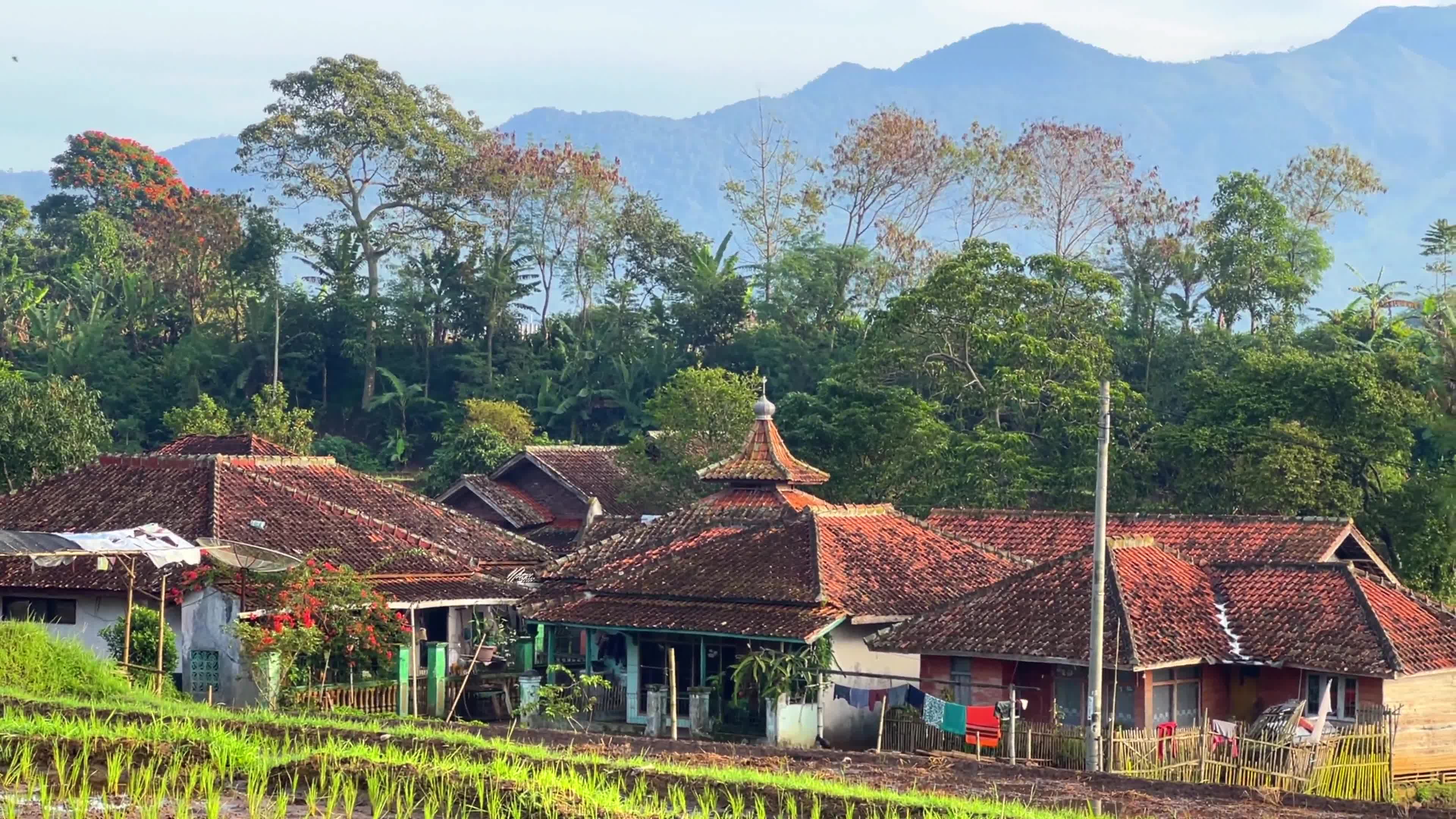 Beautiful Villages In The Morning In Garut West Java Indonesia