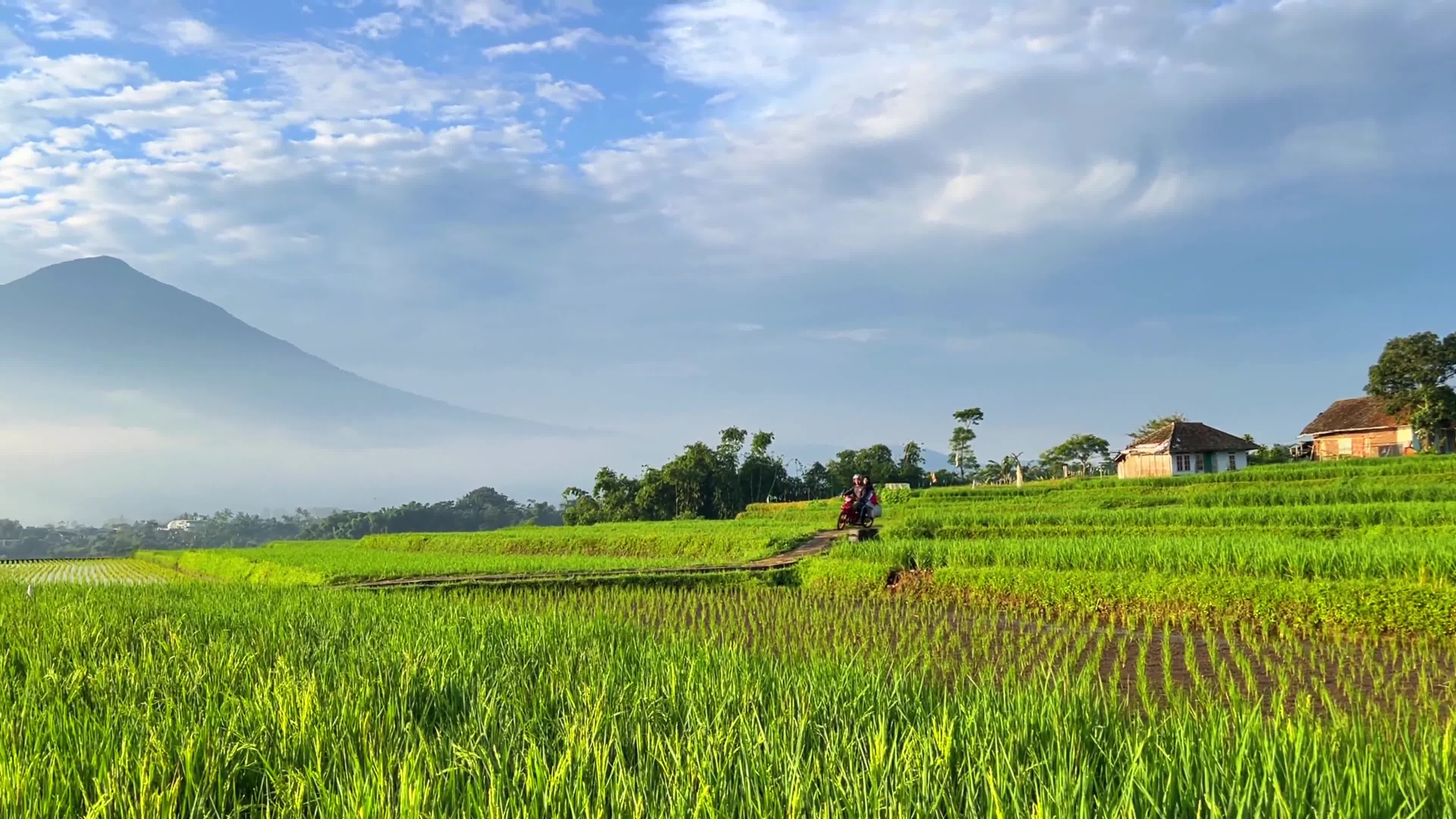 Beautiful Villages In The Morning In Garut West Java Indonesia