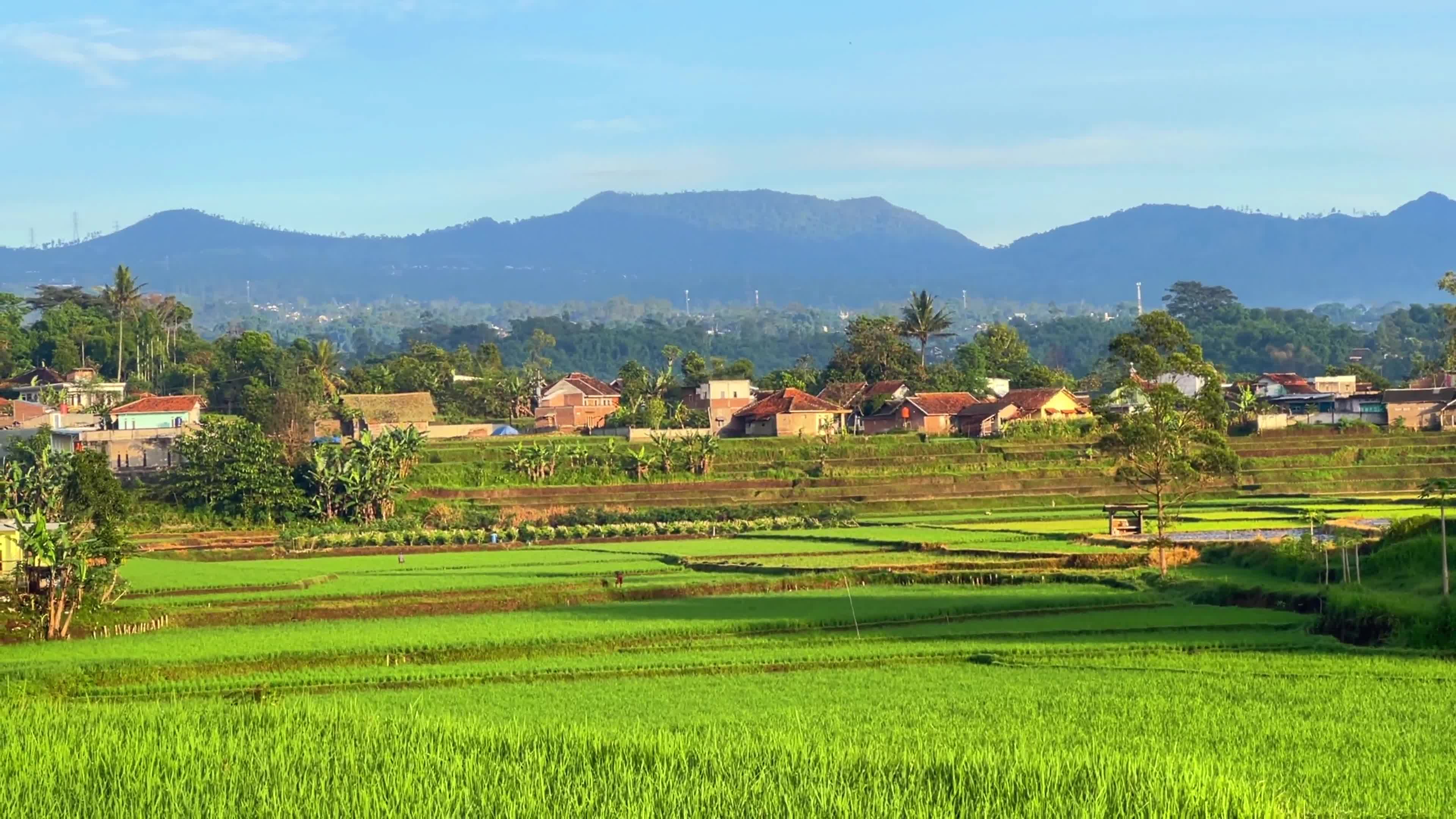 Beautiful Villages In The Morning In Garut West Java Indonesia