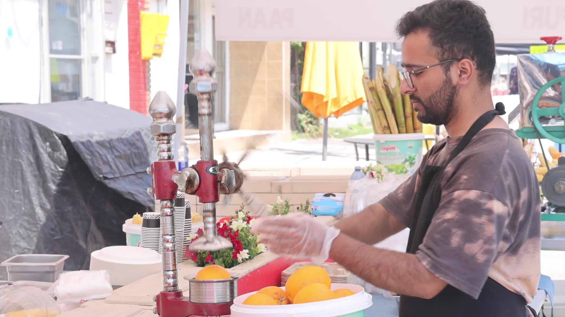 Festival of South Asia in Toronto