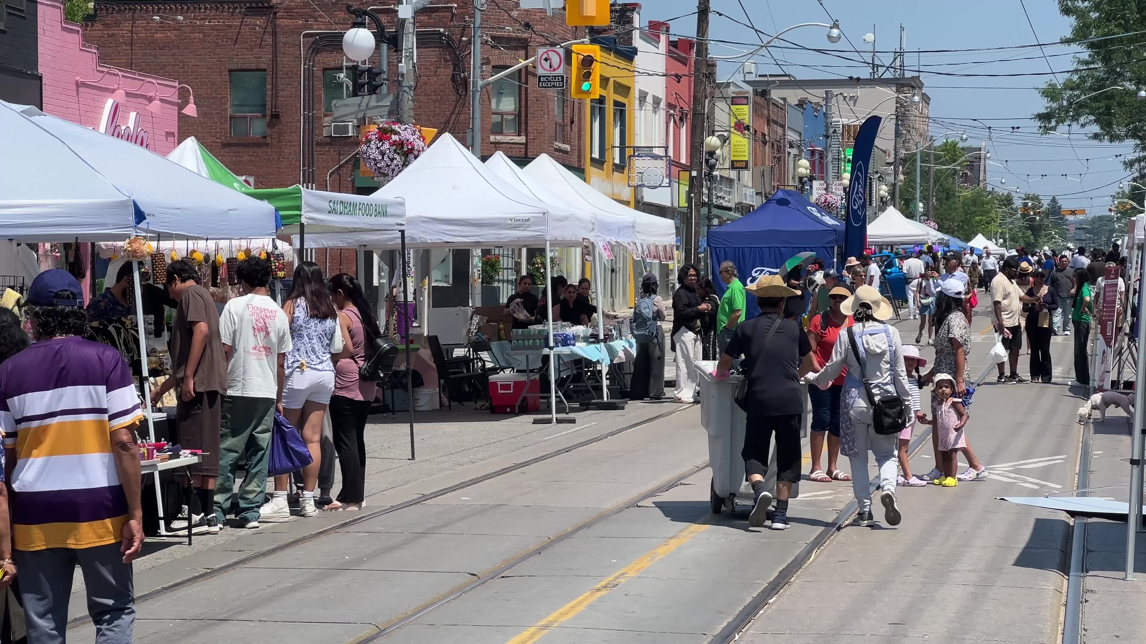 Festival of South Asia in Toronto
