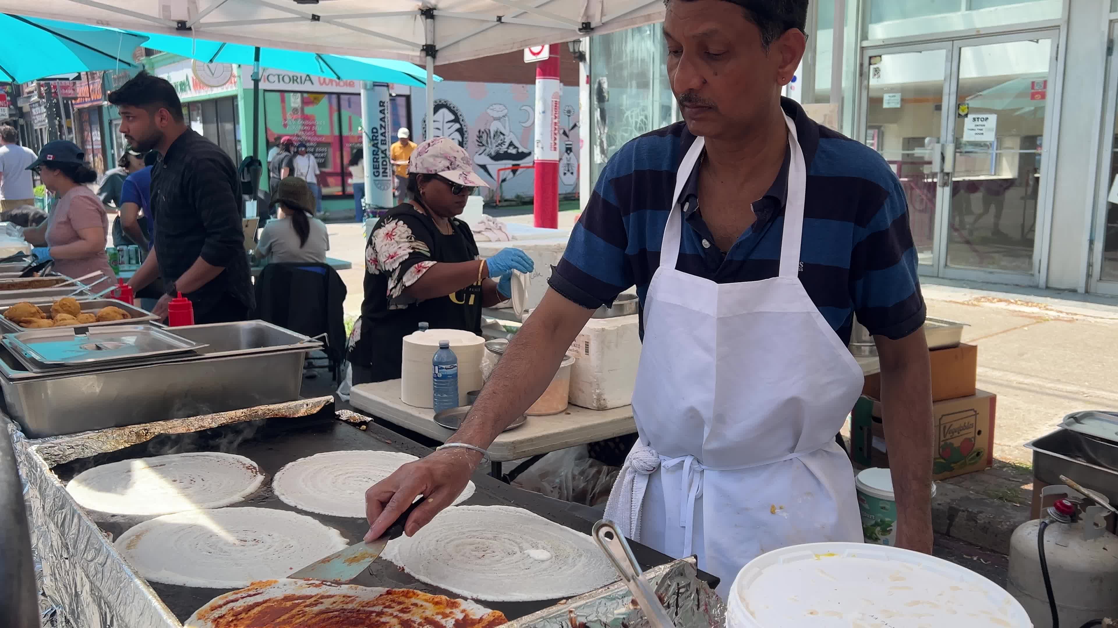 Festival of South Asia in Toronto