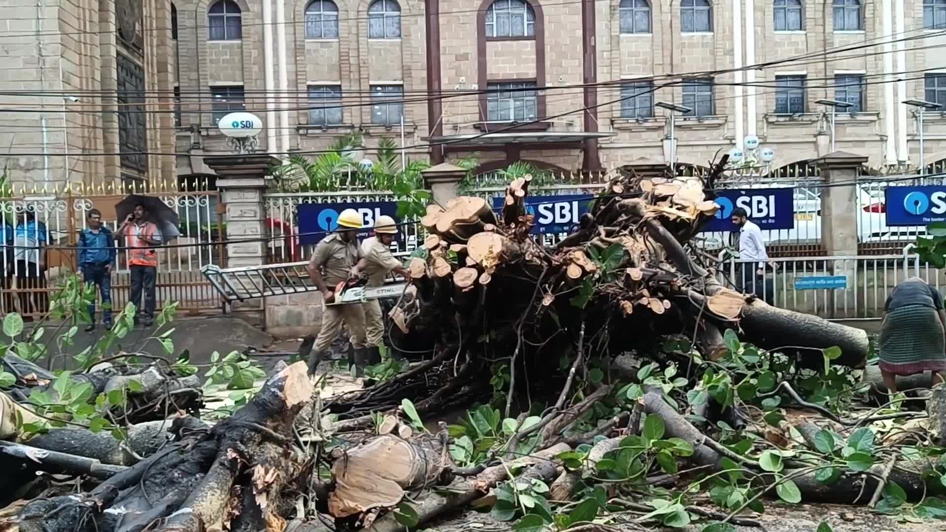 Kolkata daily Life