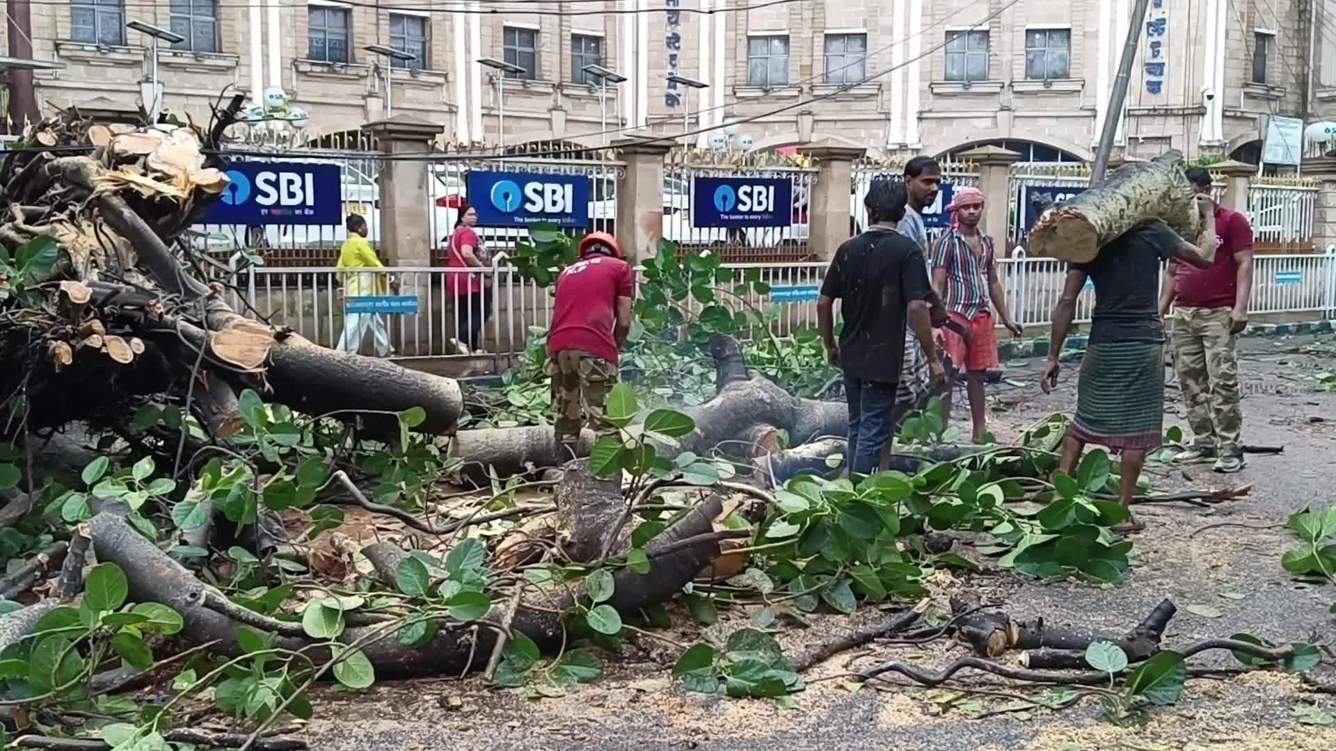 Kolkata daily Life