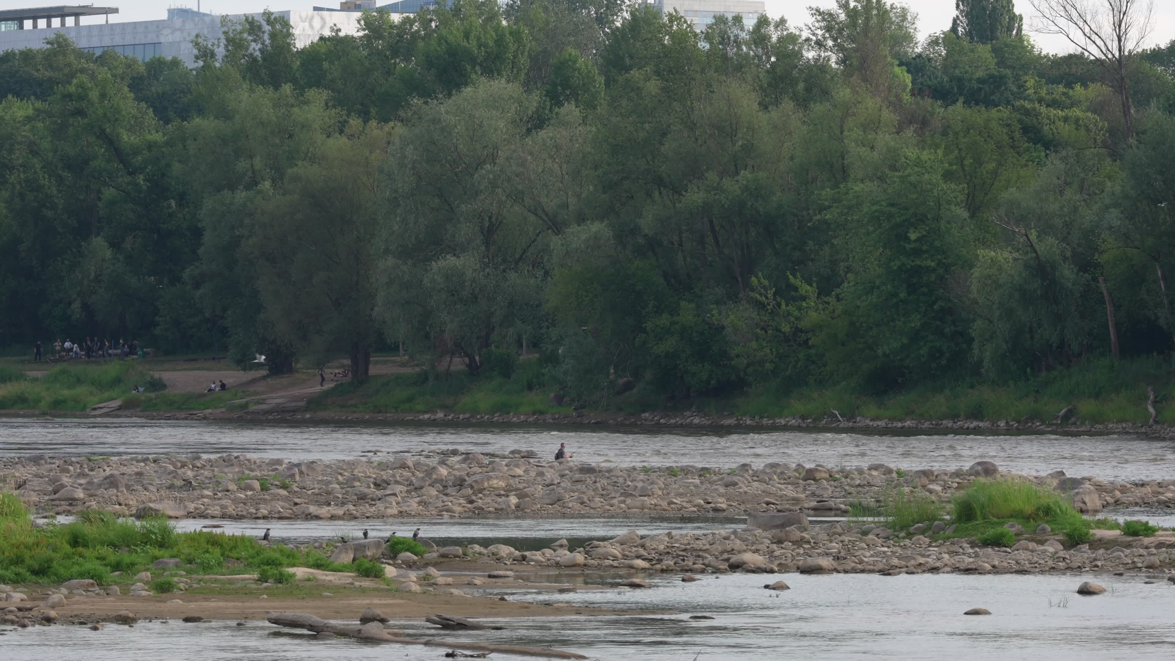 Vistula river reaches record lows due to drought