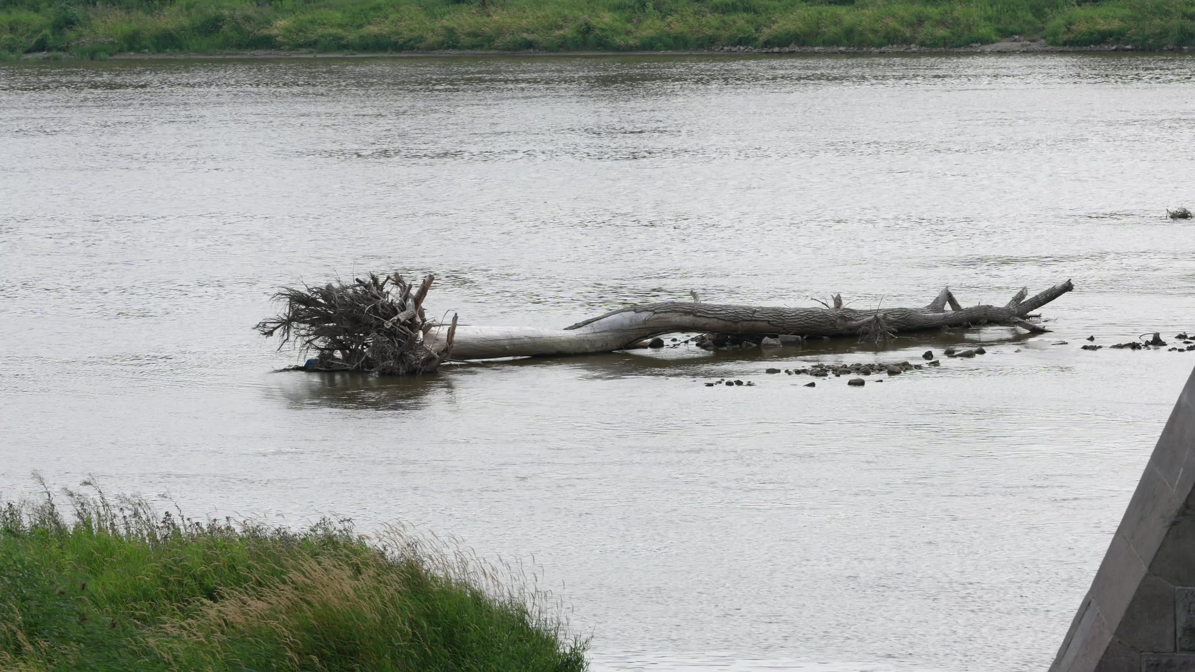 Vistula river reaches record lows due to drought