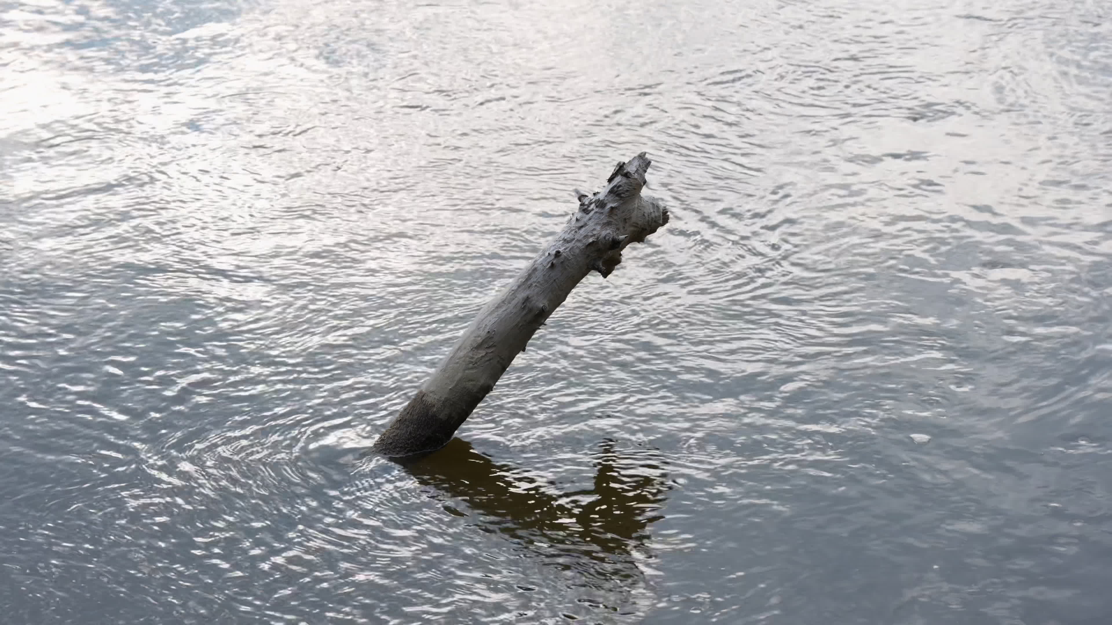 Vistula river reaches record lows due to drought