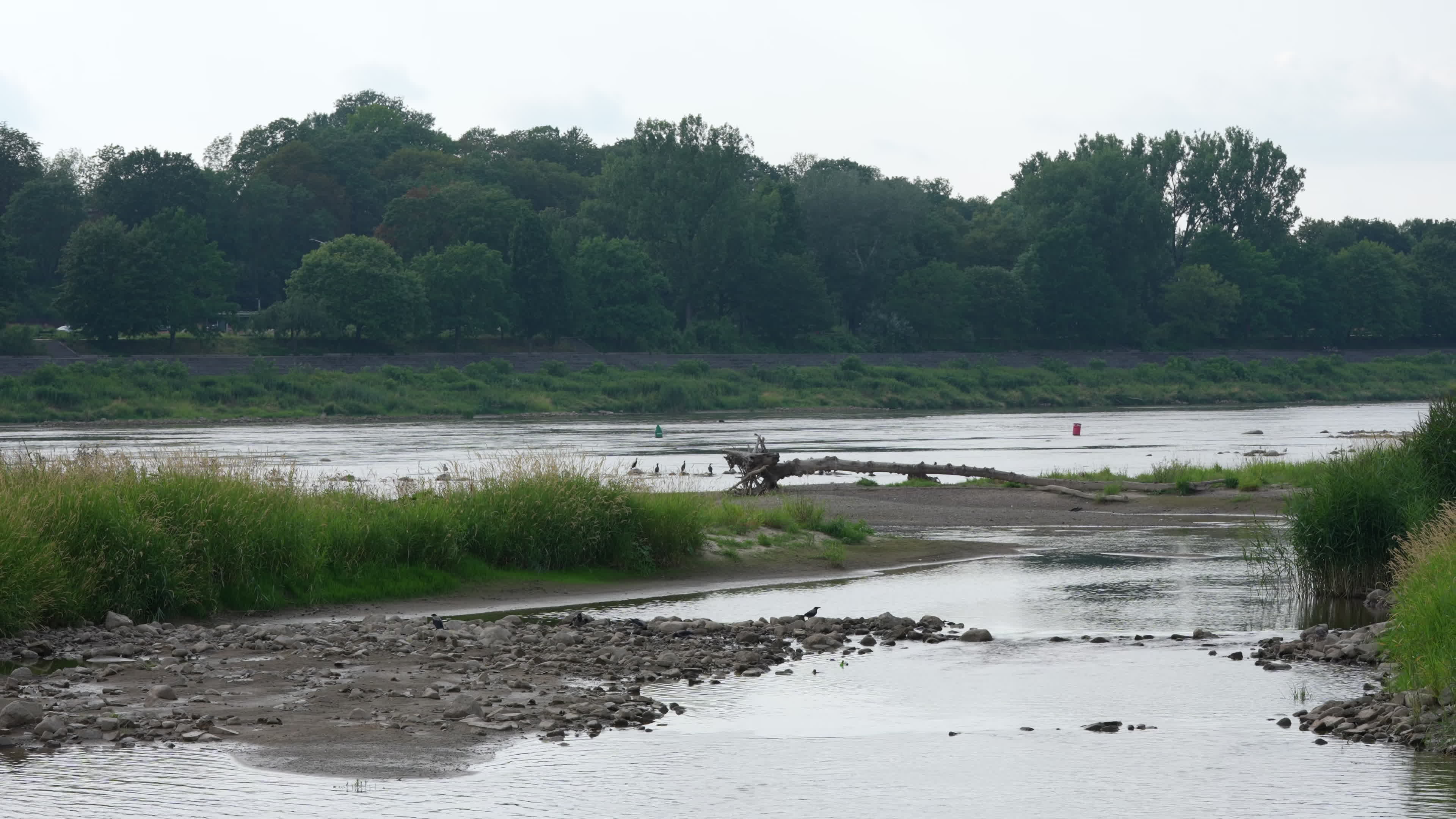Vistula river reaches record lows due to drought