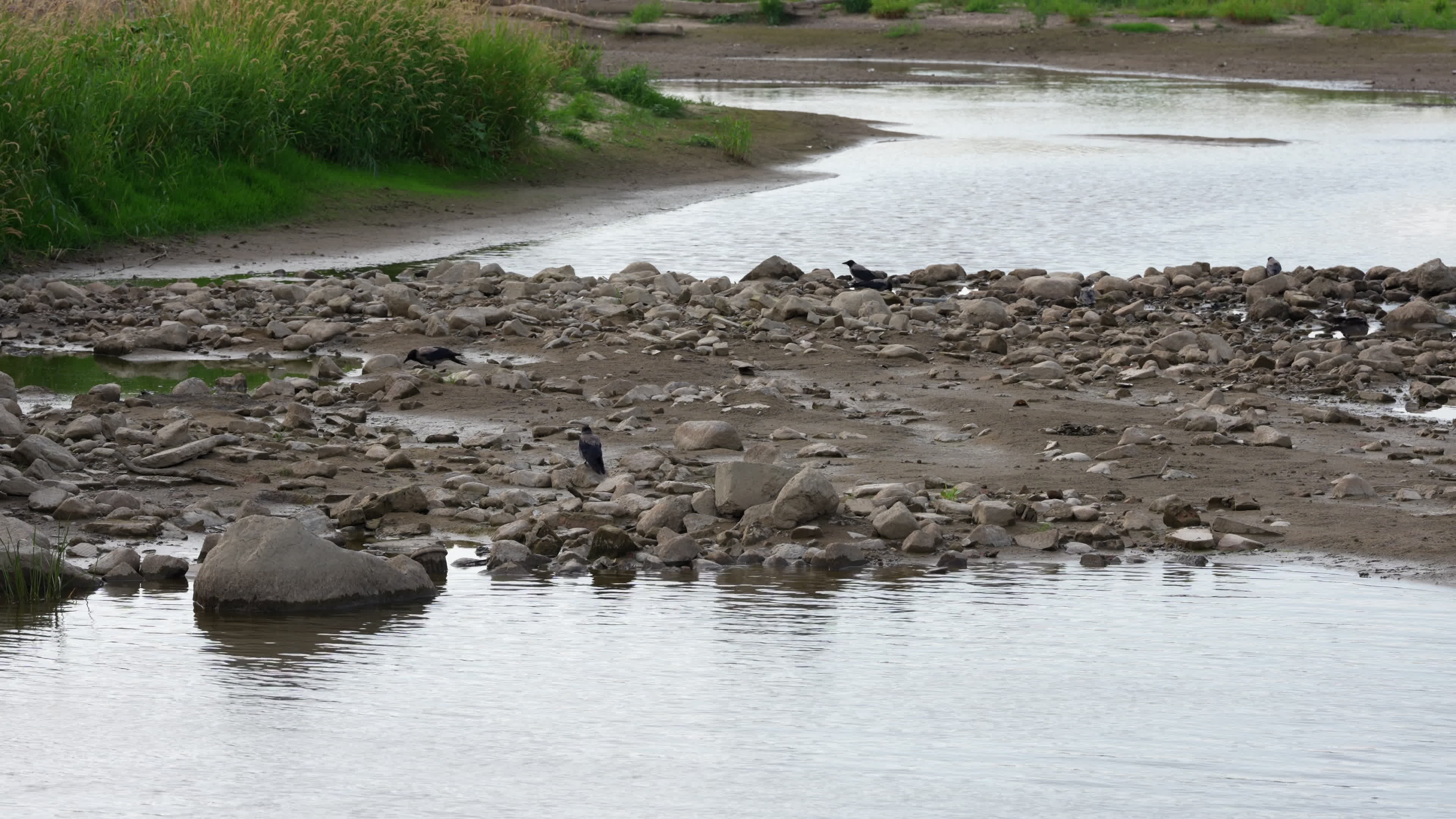 Vistula river reaches record lows due to drought