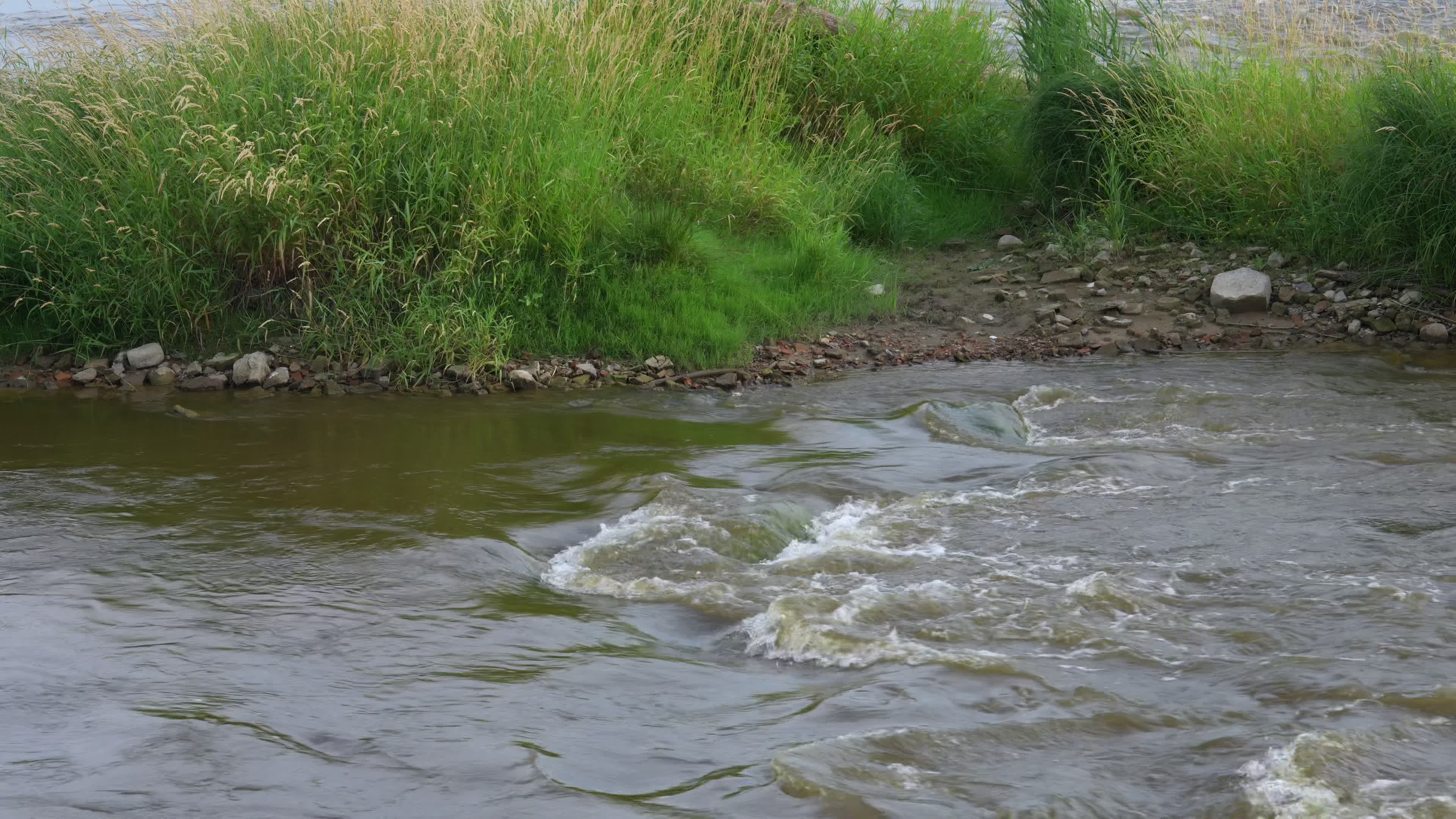 Vistula river reaches record lows due to drought