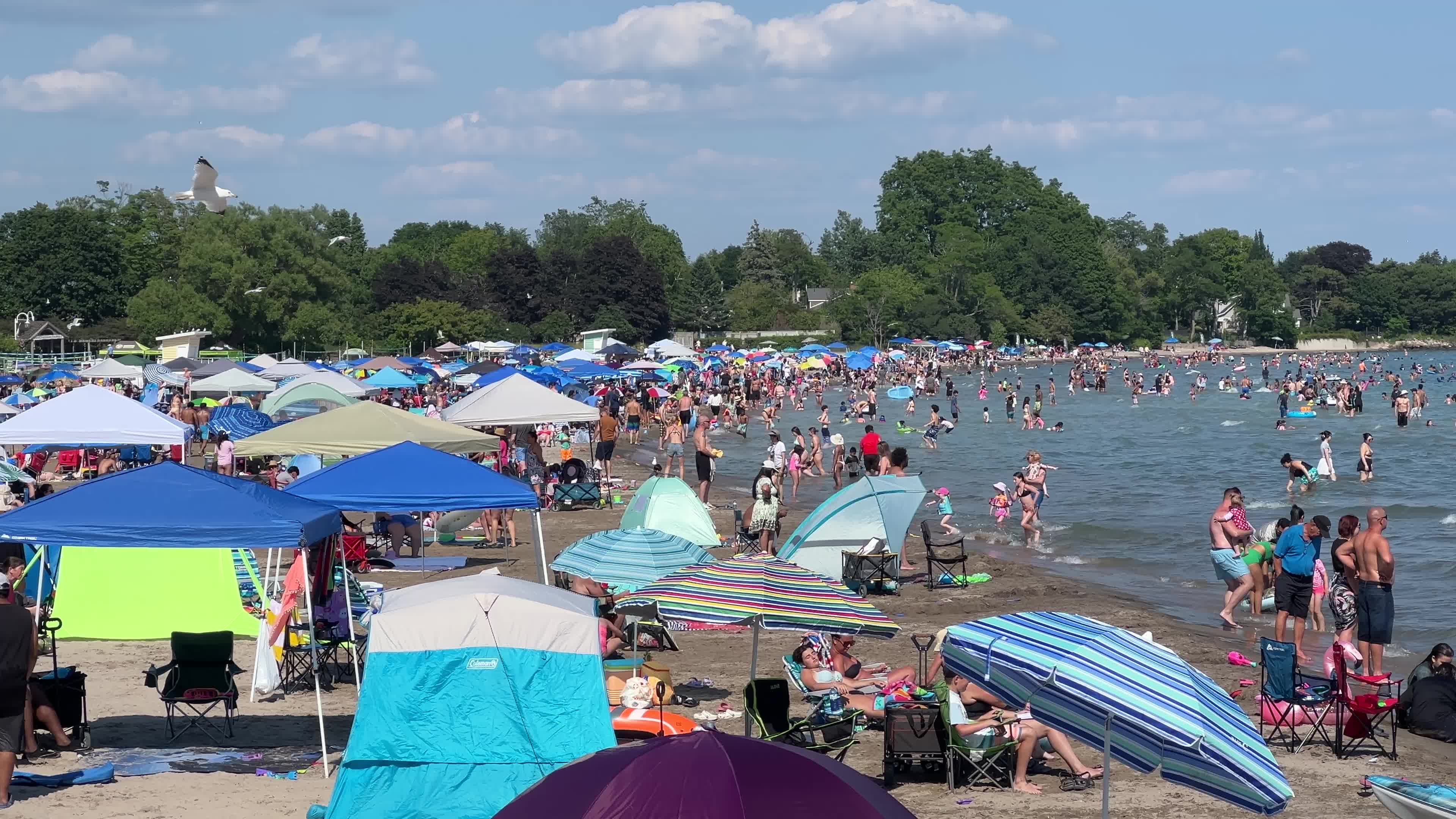Huge crowd at Victoria Beach