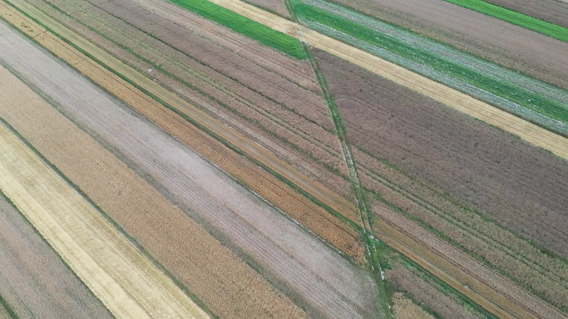 Agricultural drought in Poland