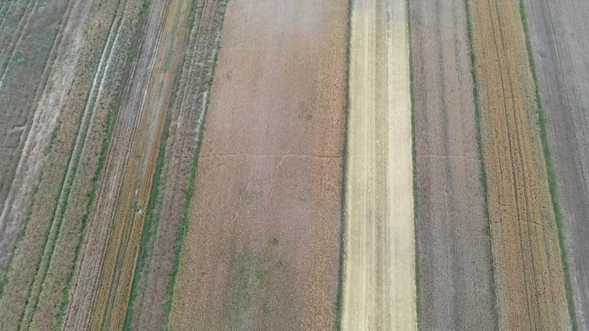Agricultural drought in Poland