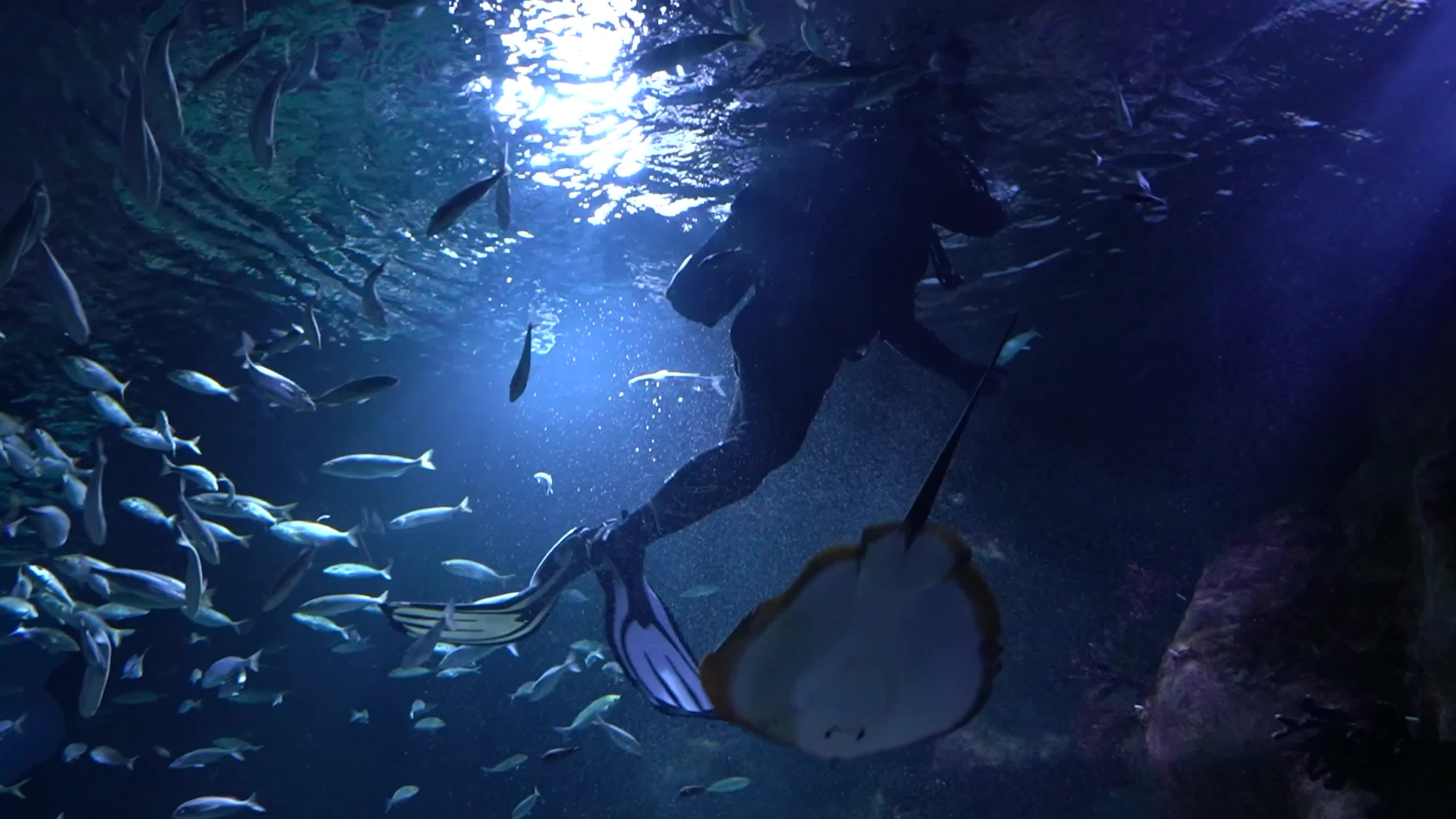Funtastic Aquariums Izmir, Turkey - 16 Jul 2026