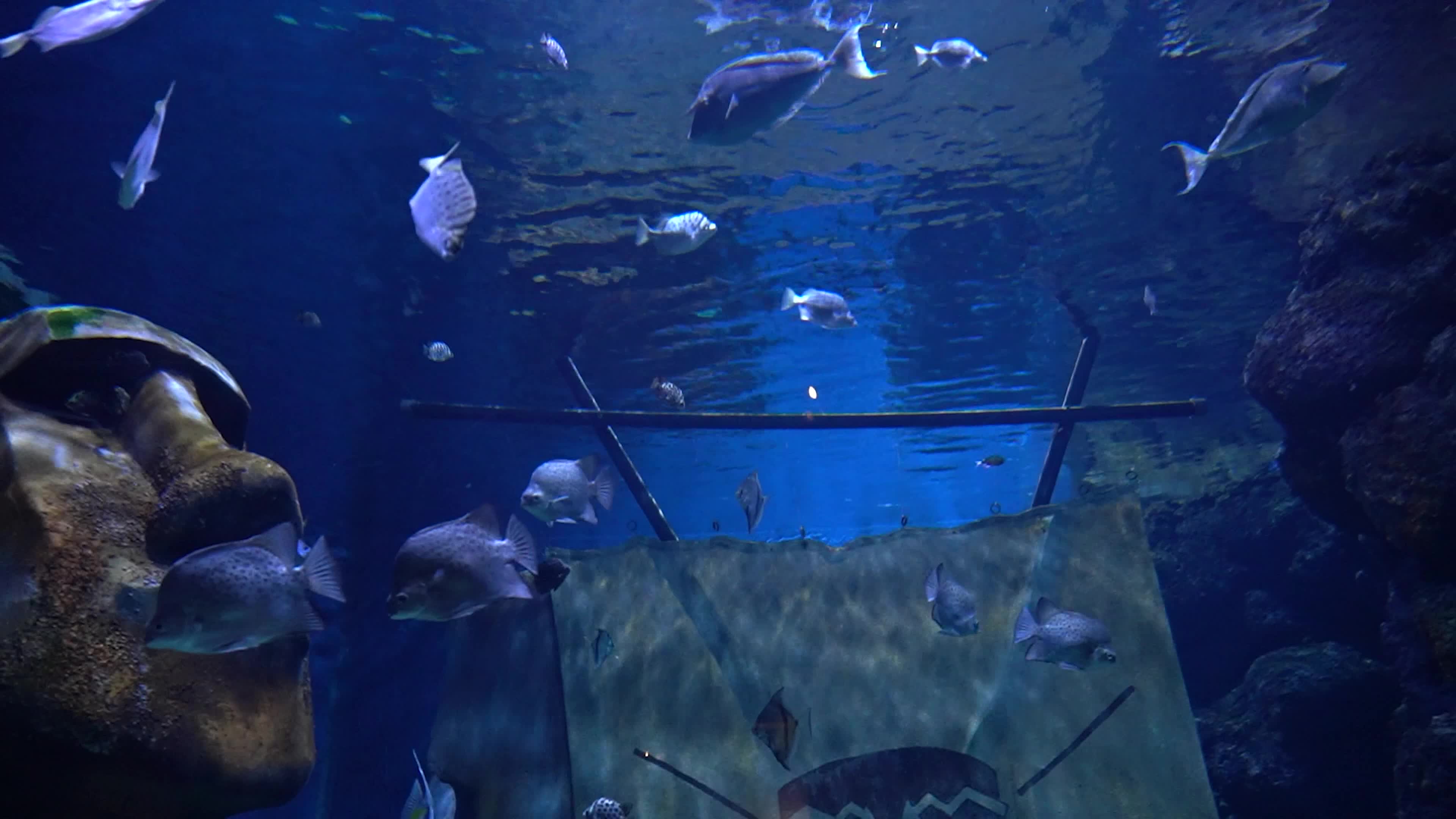 Funtastic Aquariums Izmir, Turkey - 16 Jul 2026