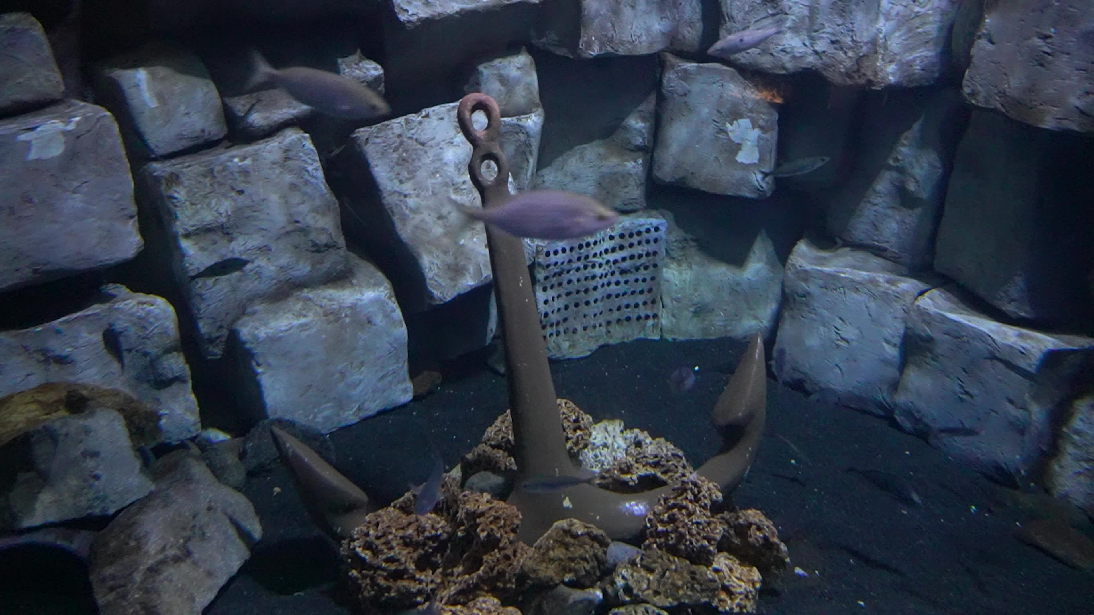 Funtastic Aquariums Izmir, Turkey - 16 Jul 2026