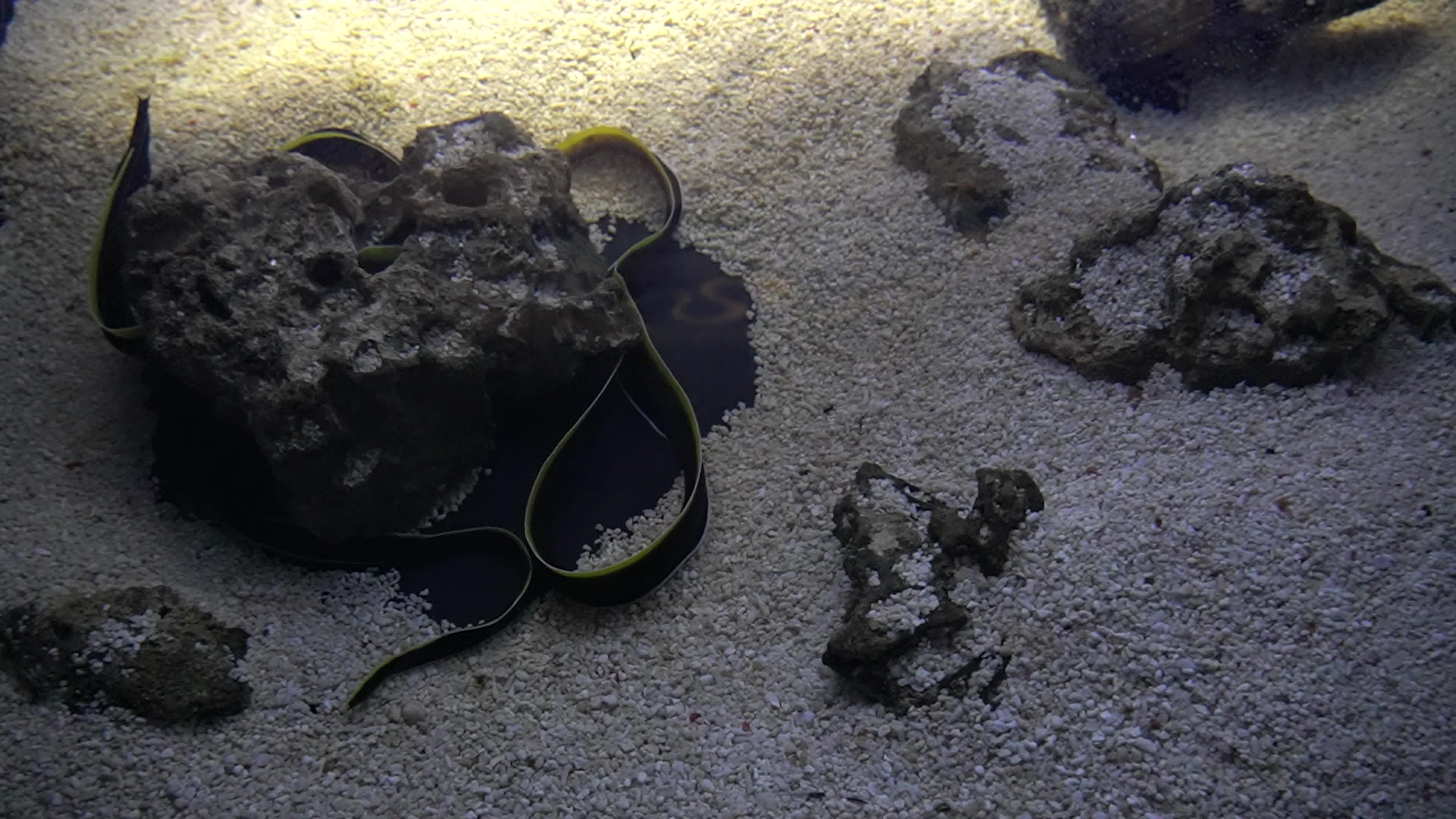 Funtastic Aquariums Izmir, Turkey - 16 Jul 2026