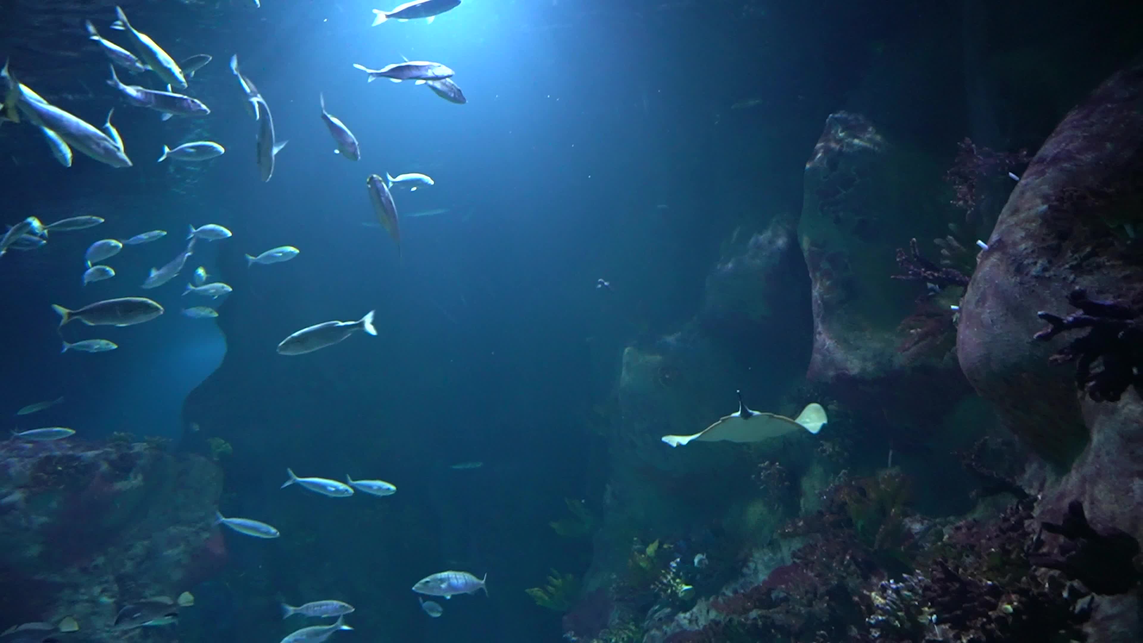 Funtastic Aquariums Izmir, Turkey - 16 Jul 2026