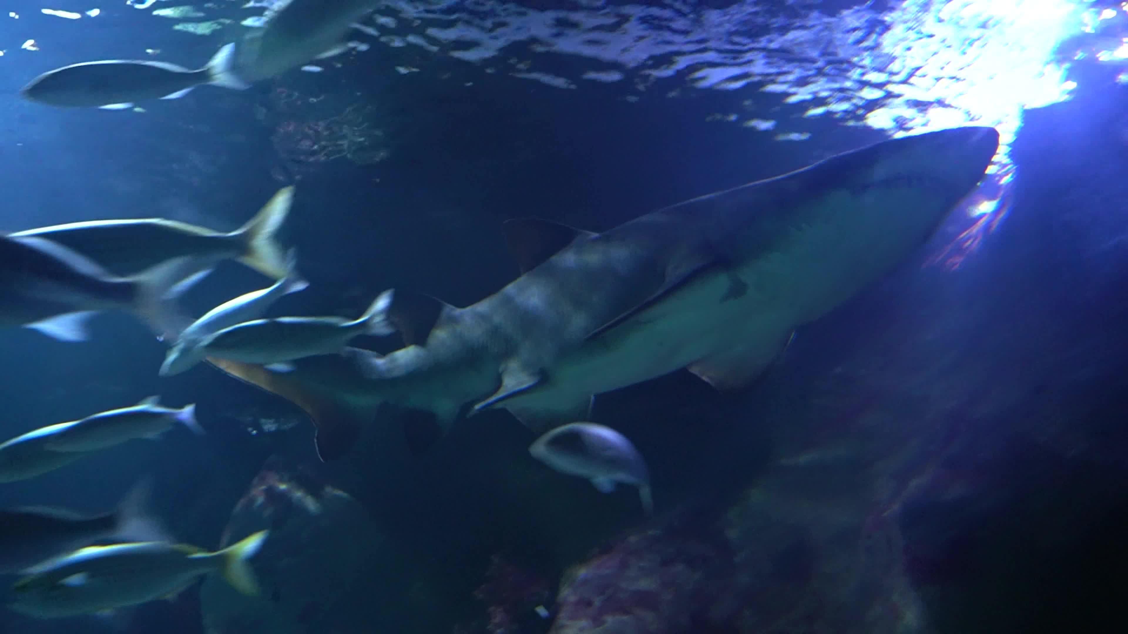 Funtastic Aquariums Izmir, Turkey - 16 Jul 2026