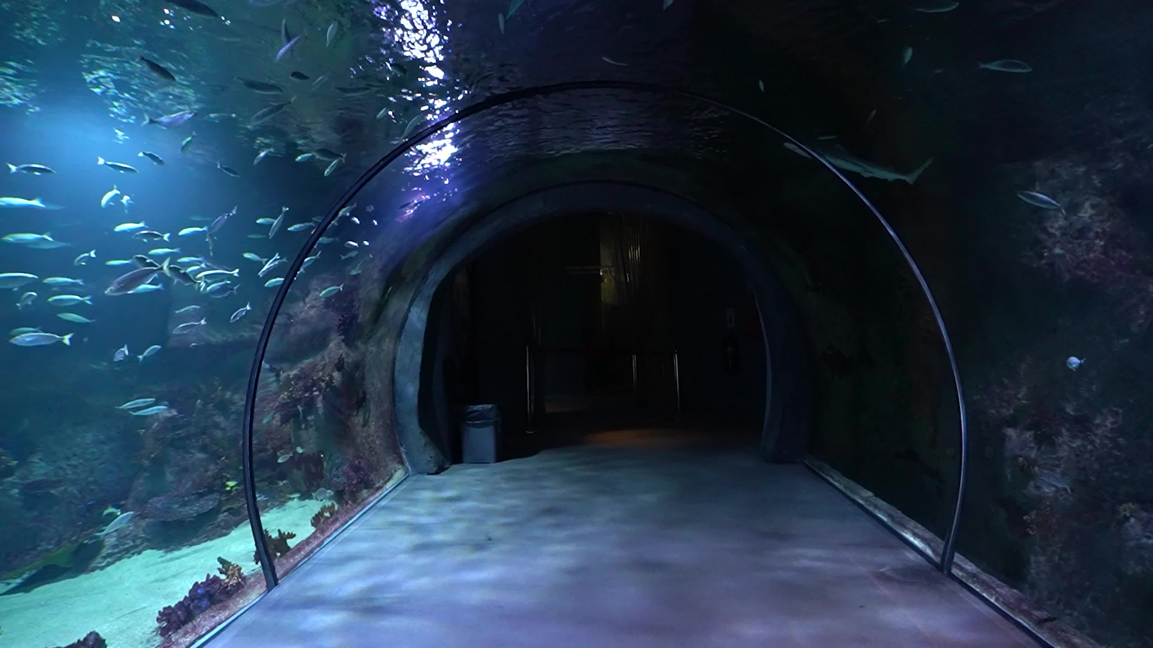 Funtastic Aquariums Izmir, Turkey - 16 Jul 2026