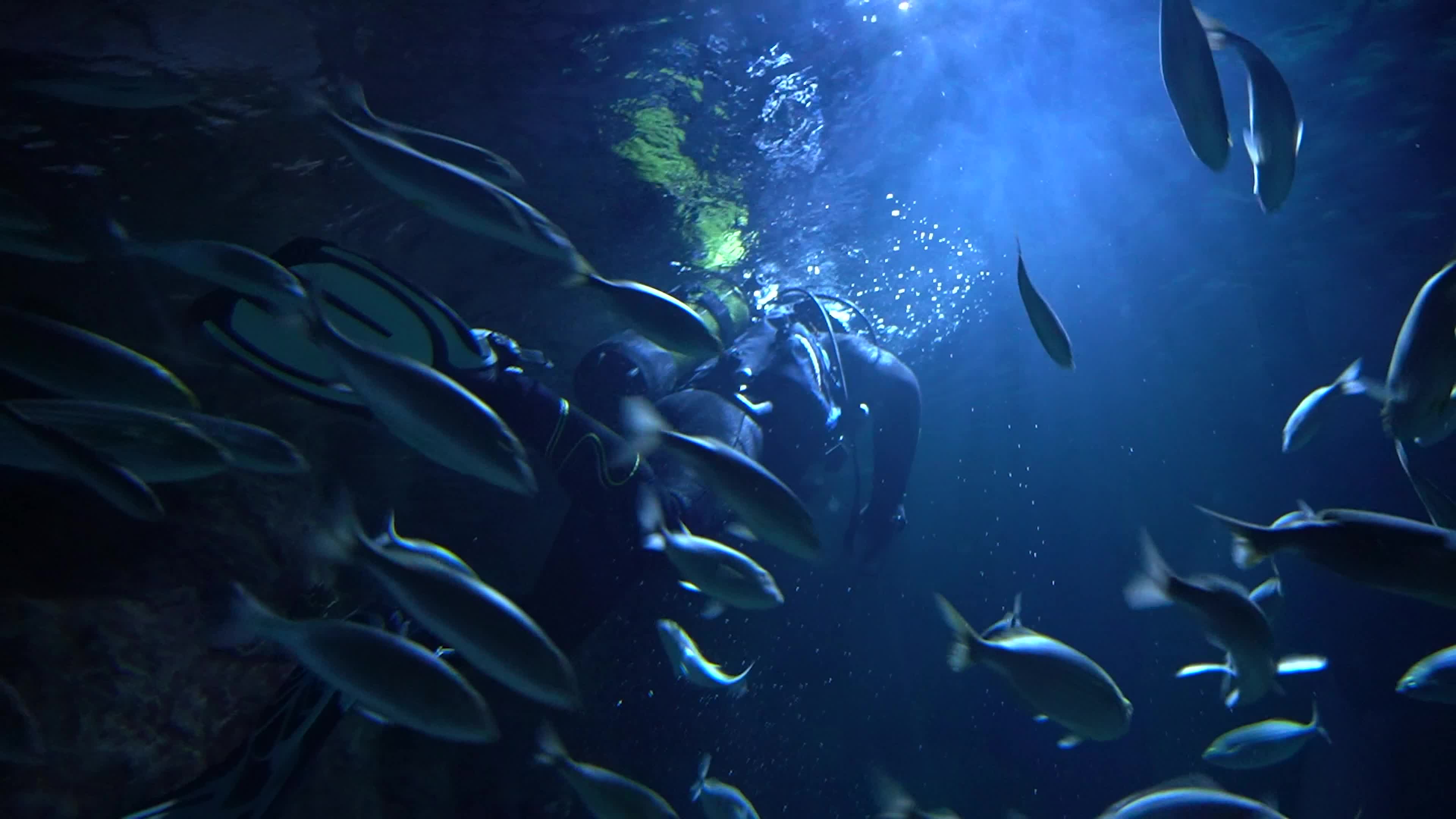 Funtastic Aquariums Izmir, Turkey - 16 Jul 2026