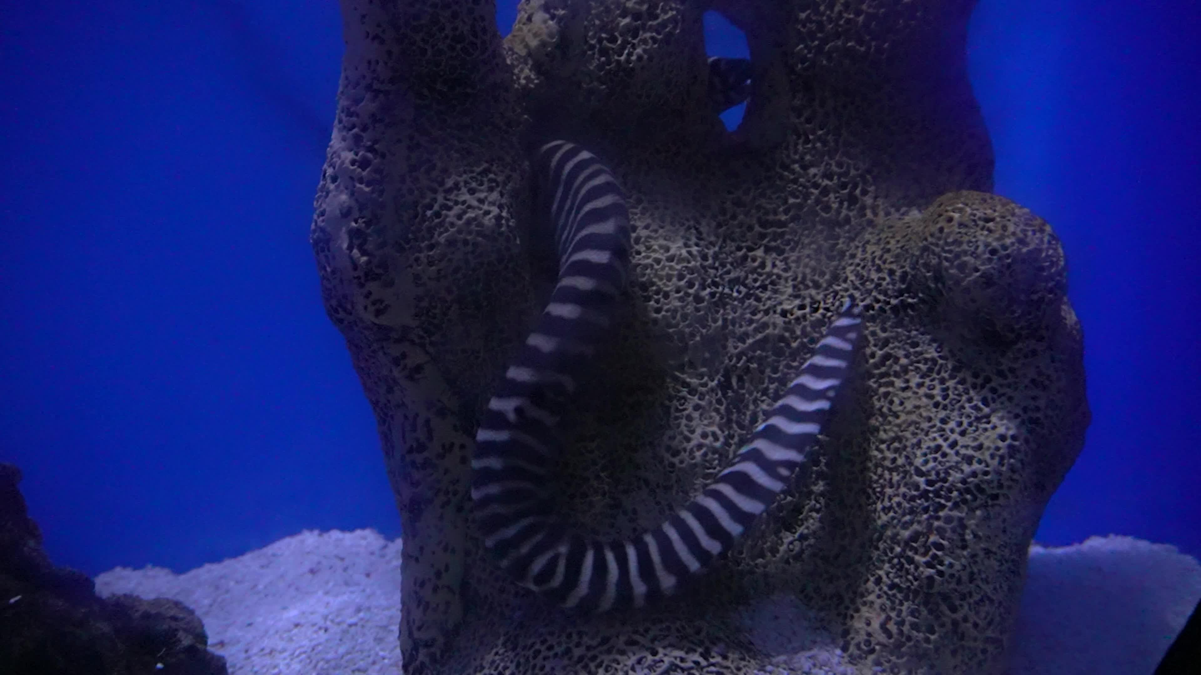 Funtastic Aquariums Izmir, Turkey - 16 Jul 2026