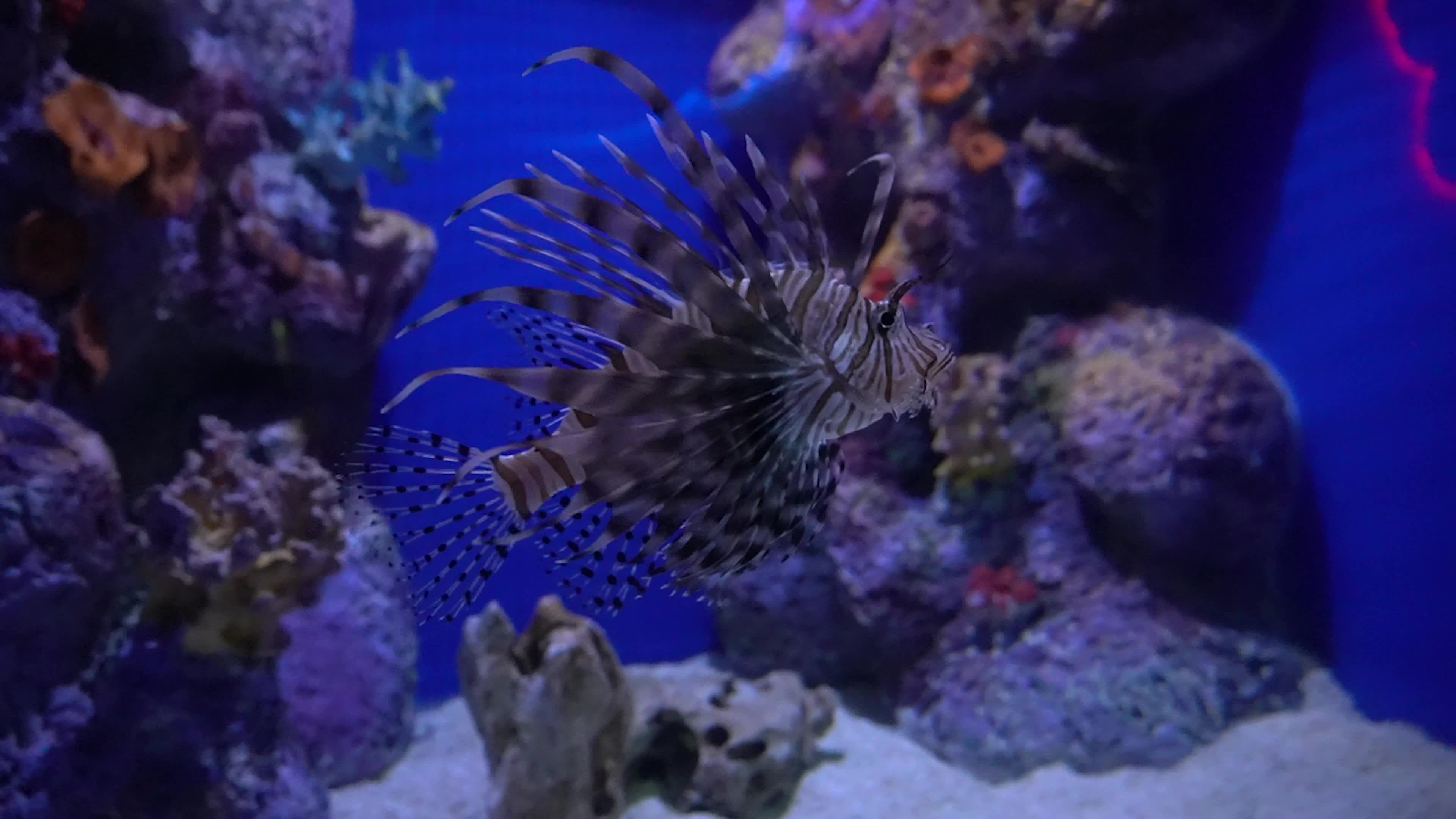 Funtastic Aquariums Izmir, Turkey - 16 Jul 2026