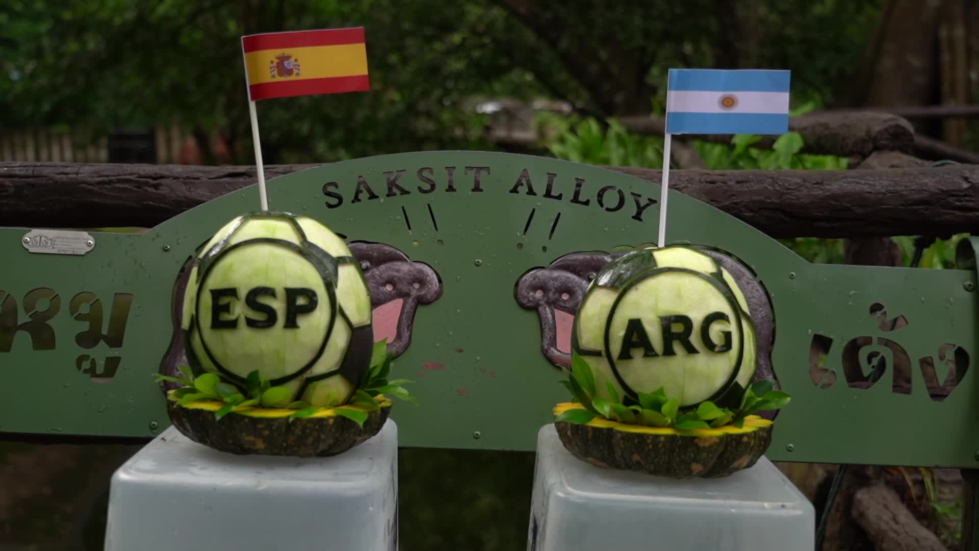 Moo Deng predicts Argentina to win 2026 World Cup. - 07/18/2026