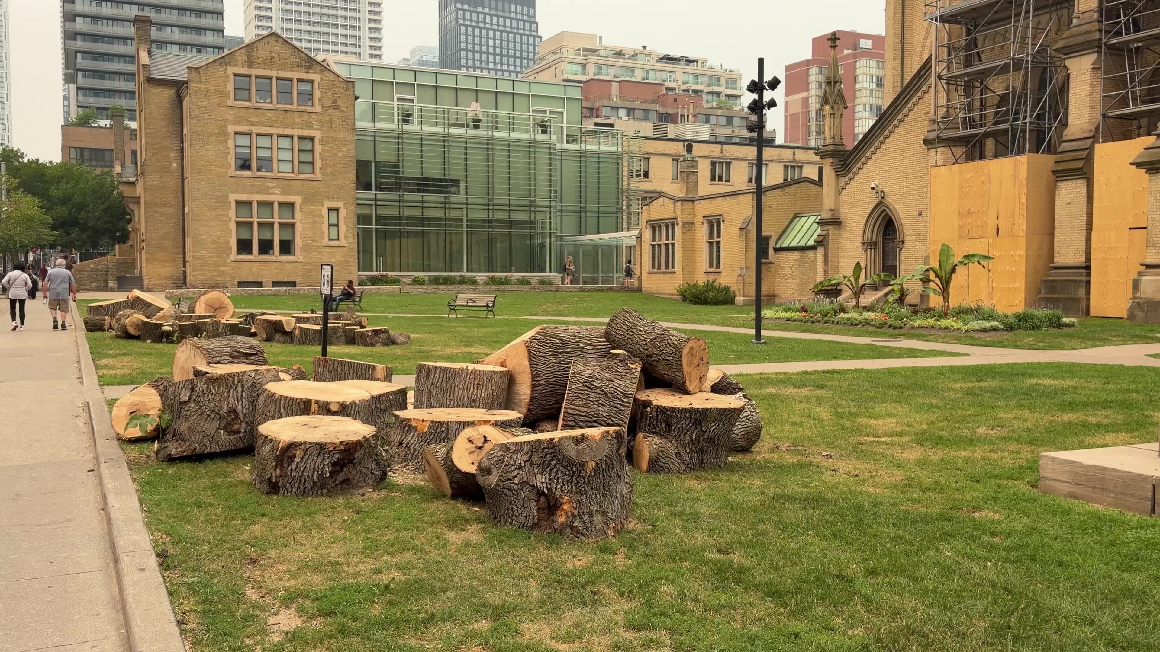 Tree logs, Toronto/Canada