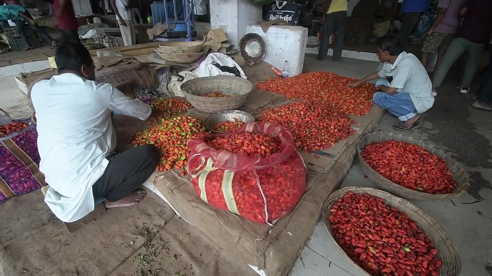 Ghost pepper, also known as 'bhut jolokia'  in India