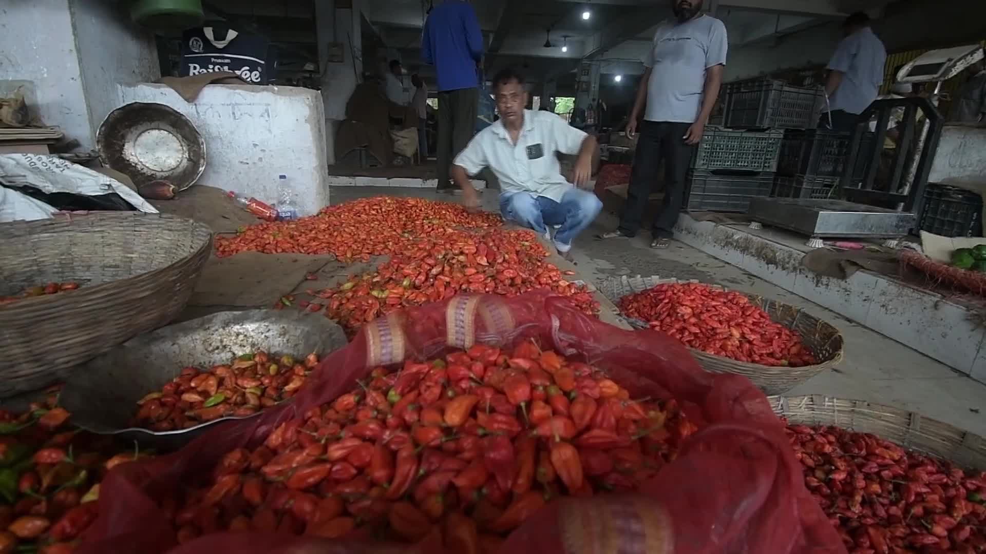 Ghost pepper, also known as 'bhut jolokia'  in India - 07/18/2026